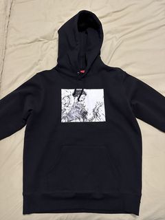 Supreme Akira Hoodie | Grailed