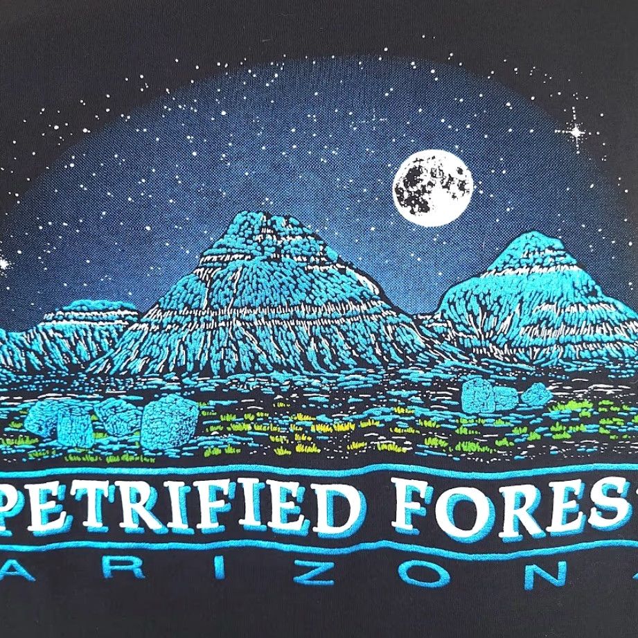 Vintage VINTAGE Petrified Forest National Park T Shirt Mens Size Medium 90s Made In USA Size US M / EU 48-50 / 2 - 3 Thumbnail