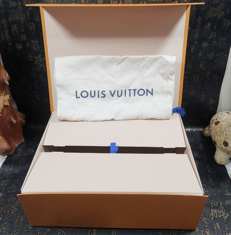 Louis Vuitton Louis Vuitton low-top fashion skate shoes Size US 7 / EU 40 - 18 Thumbnail