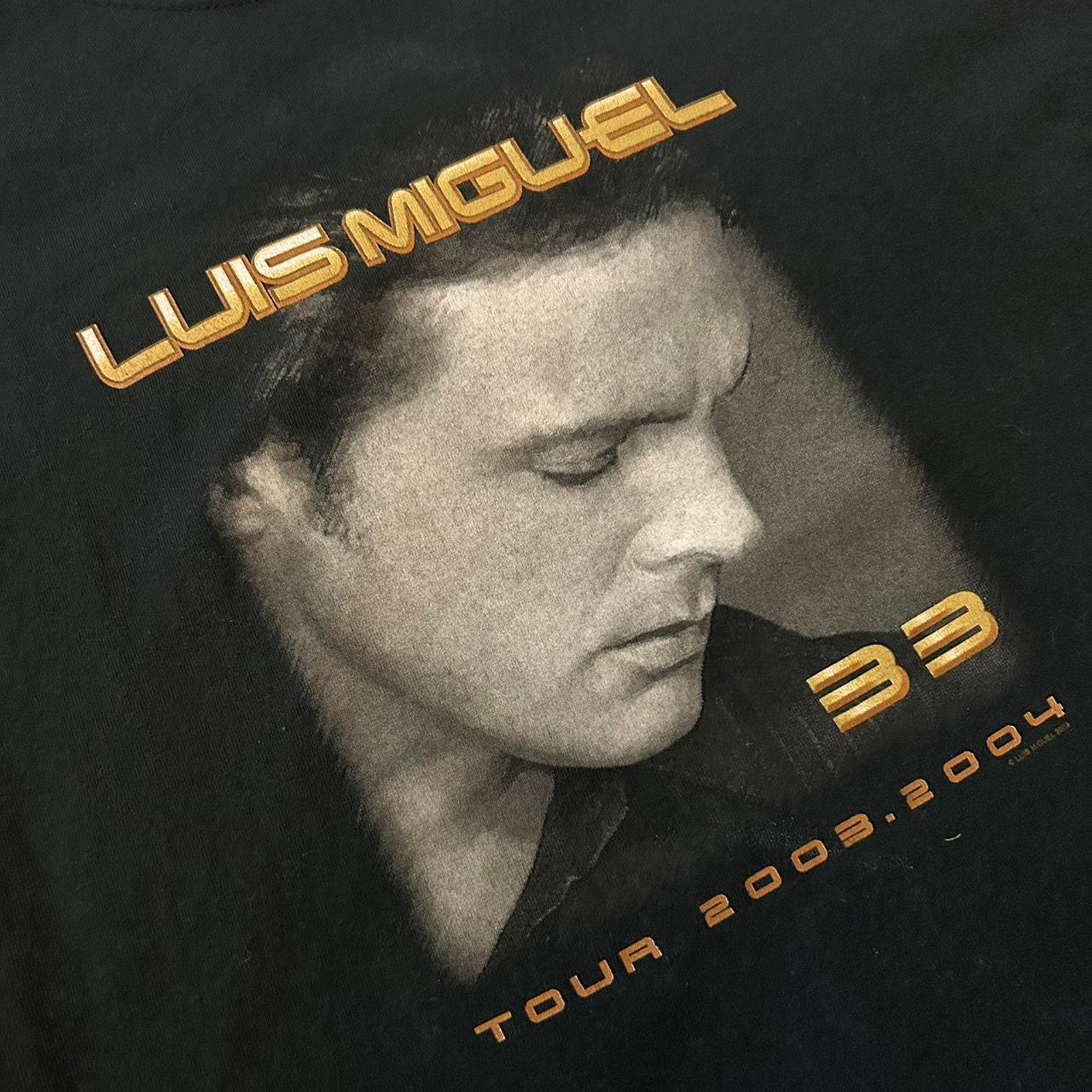 Anvil vintage luis miguel concert tee Size US M / EU 48-50 / 2 - 2 Thumbnail