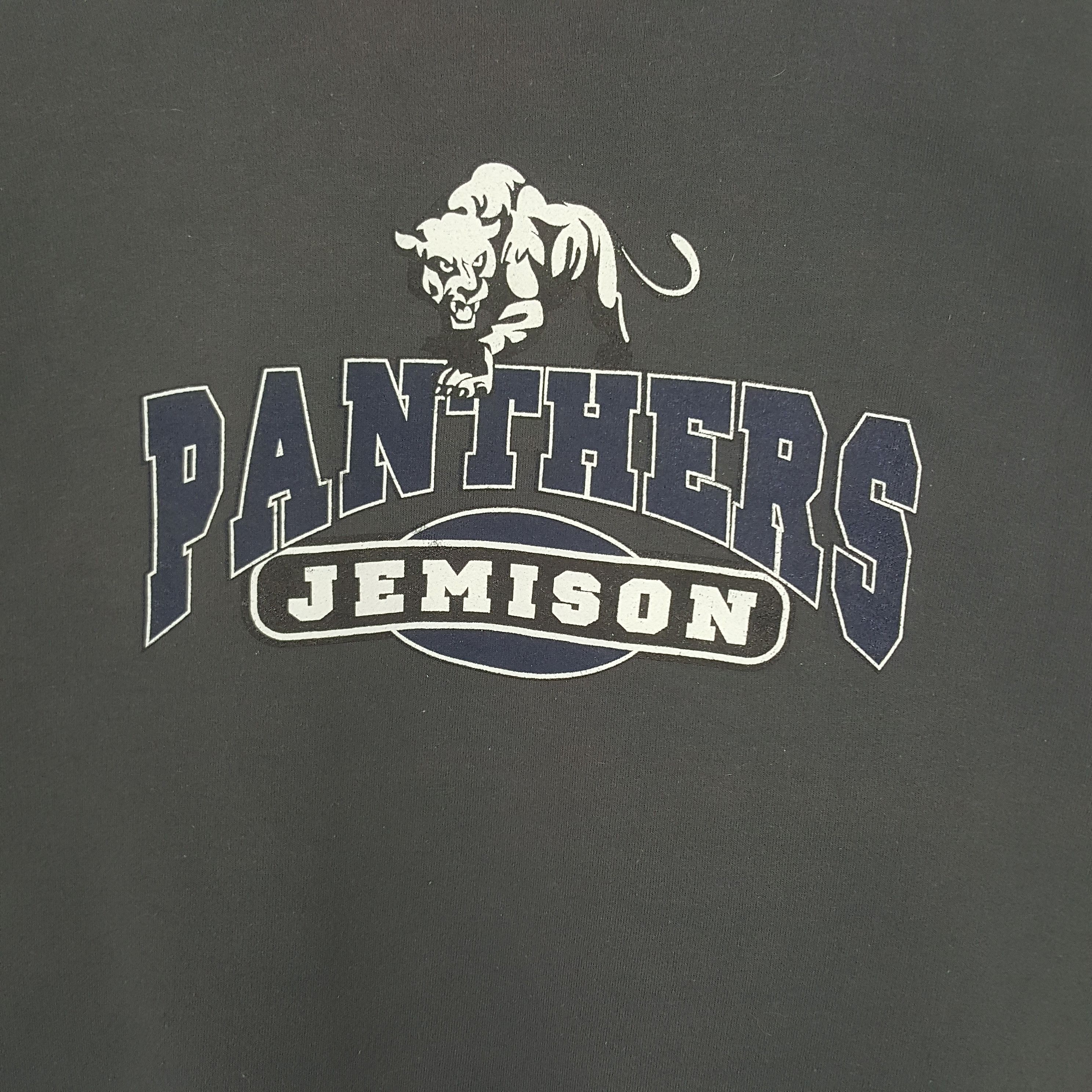 NFL × Vintage Vintage Panthers Jemison American Football Team Sweatshirt Size US L / EU 52-54 / 3 - 2 Thumbnail