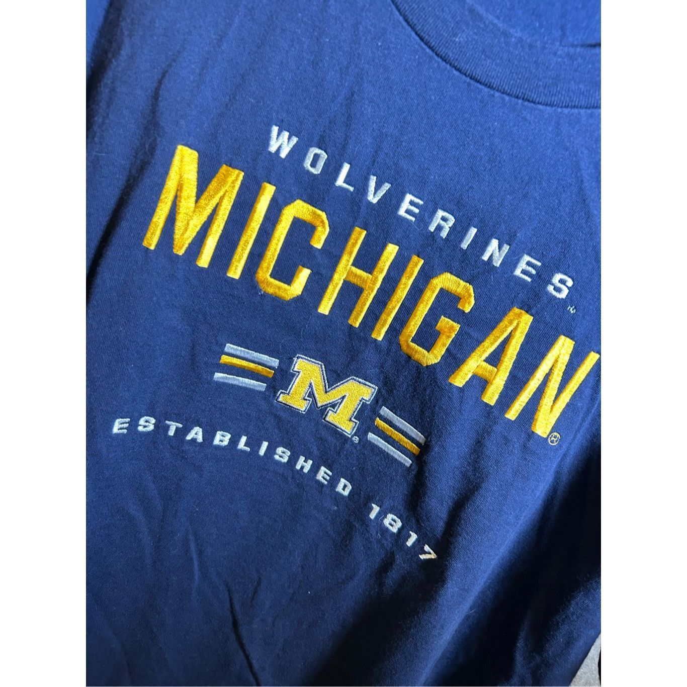 Vintage Vintage 1990s University of Michigan Lee sports embroidered Size US L / EU 52-54 / 3 - 2 Thumbnail