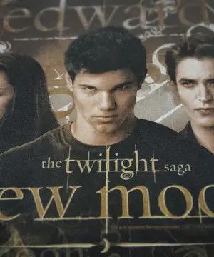 Other THE TWILIGHT SAGA NEW MOON MOVIE TEE Size US L / EU 52-54 / 3 - 10 Thumbnail