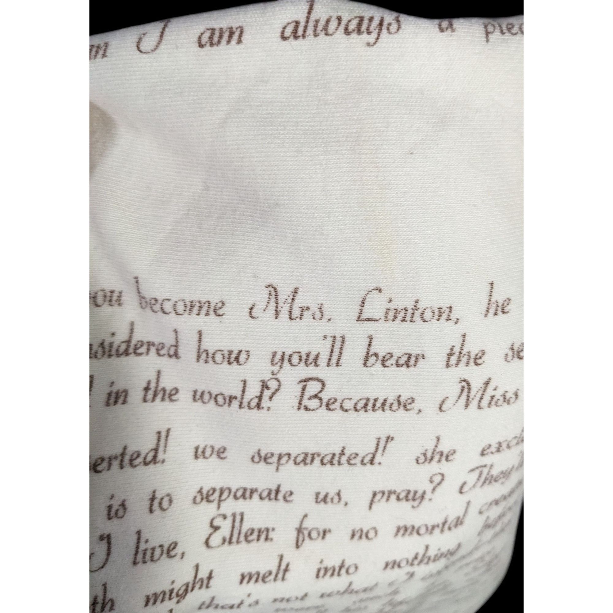 Other Wuthering Heights Literary Infinity Scarf Beige & Brown Text Size ONE SIZE - 3 Thumbnail