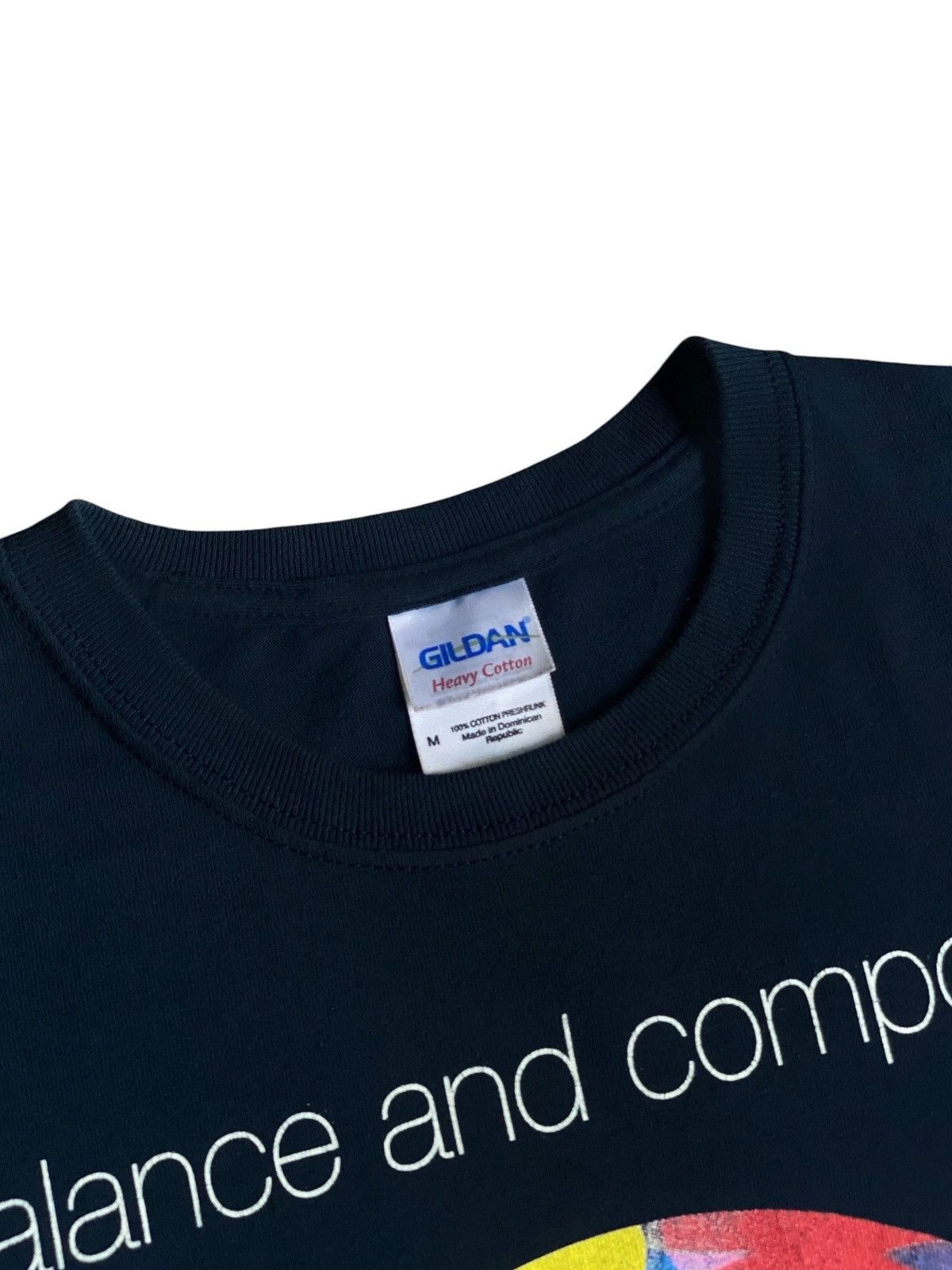 Gildan Balance And Composure The Things We Think Were Missing tee Size US M / EU 48-50 / 2 - 4 Thumbnail