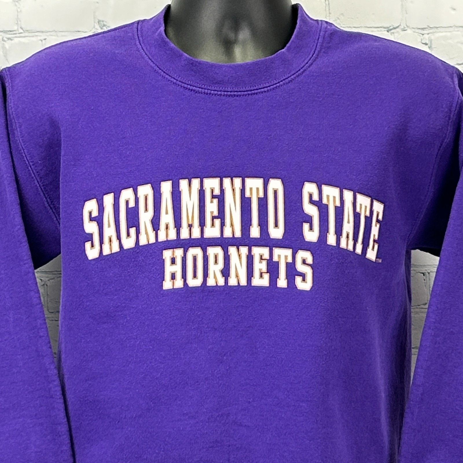 Vintage Vintage 90s Sacramento SAC State Hornets Sweatshirt Purple S Size US S / EU 44-46 / 1 - 1 Thumbnail