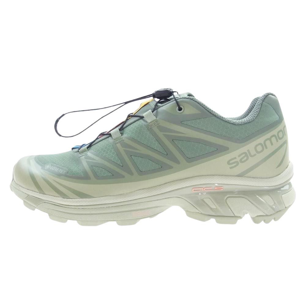 国内配送 SALOMON XT-6 GORE-TEX DESERT SAGE/LILY PAD/L.WREATH 