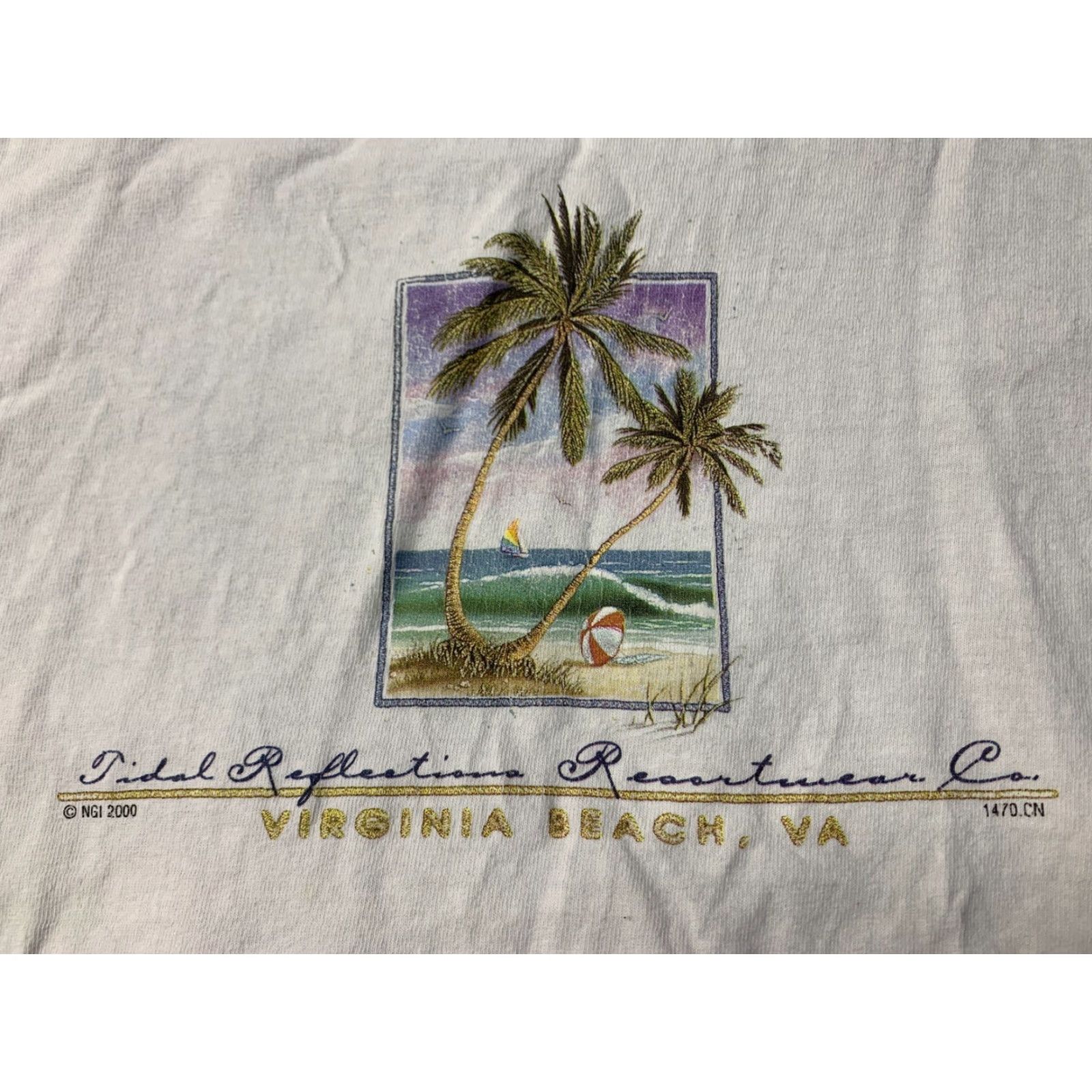 Anvil VIRGINIA BEACH 2000 VINTAGE VTG BAND Y2K SHIRT JERSEY TEE ANVIL ORIGINAL SIZE L Size US L / EU 52-54 / 3 - 3 Thumbnail