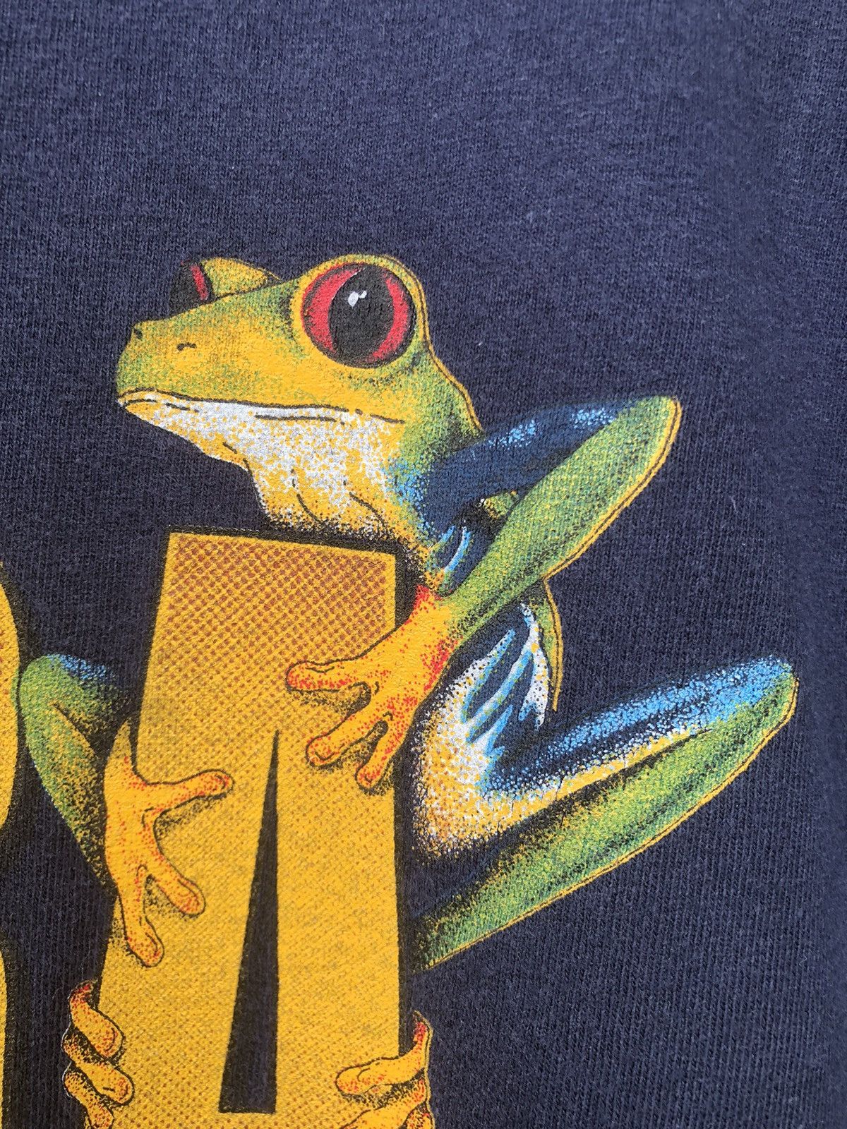 The Mountain Vintage Y2K PURA Vida Costa Rica Tshirt Size US L / EU 52-54 / 3 - 7 Thumbnail