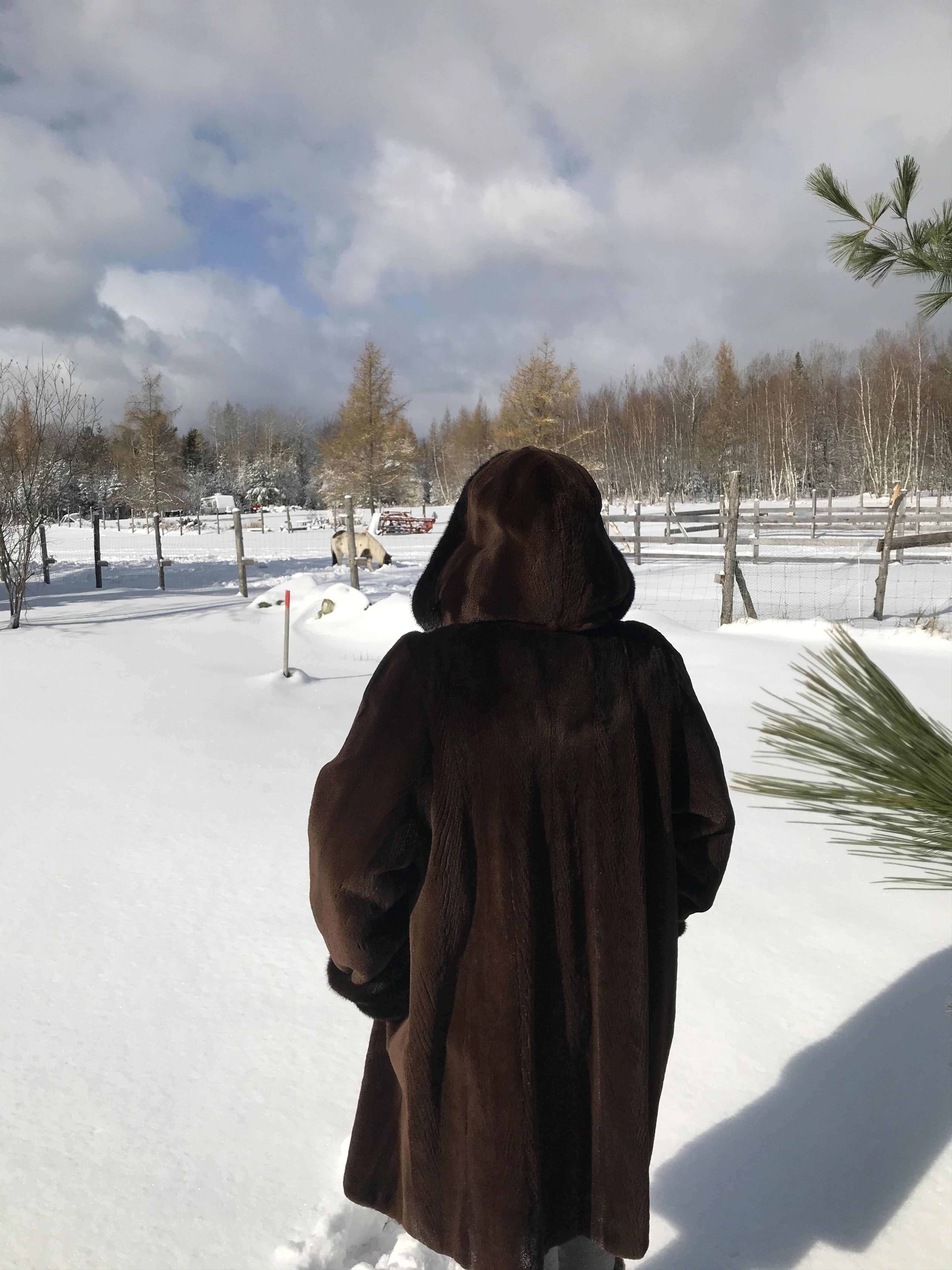 Other MINK FUR COAT WITH HEAD COVER Size L / US 10 / IT 46 - 2 Thumbnail