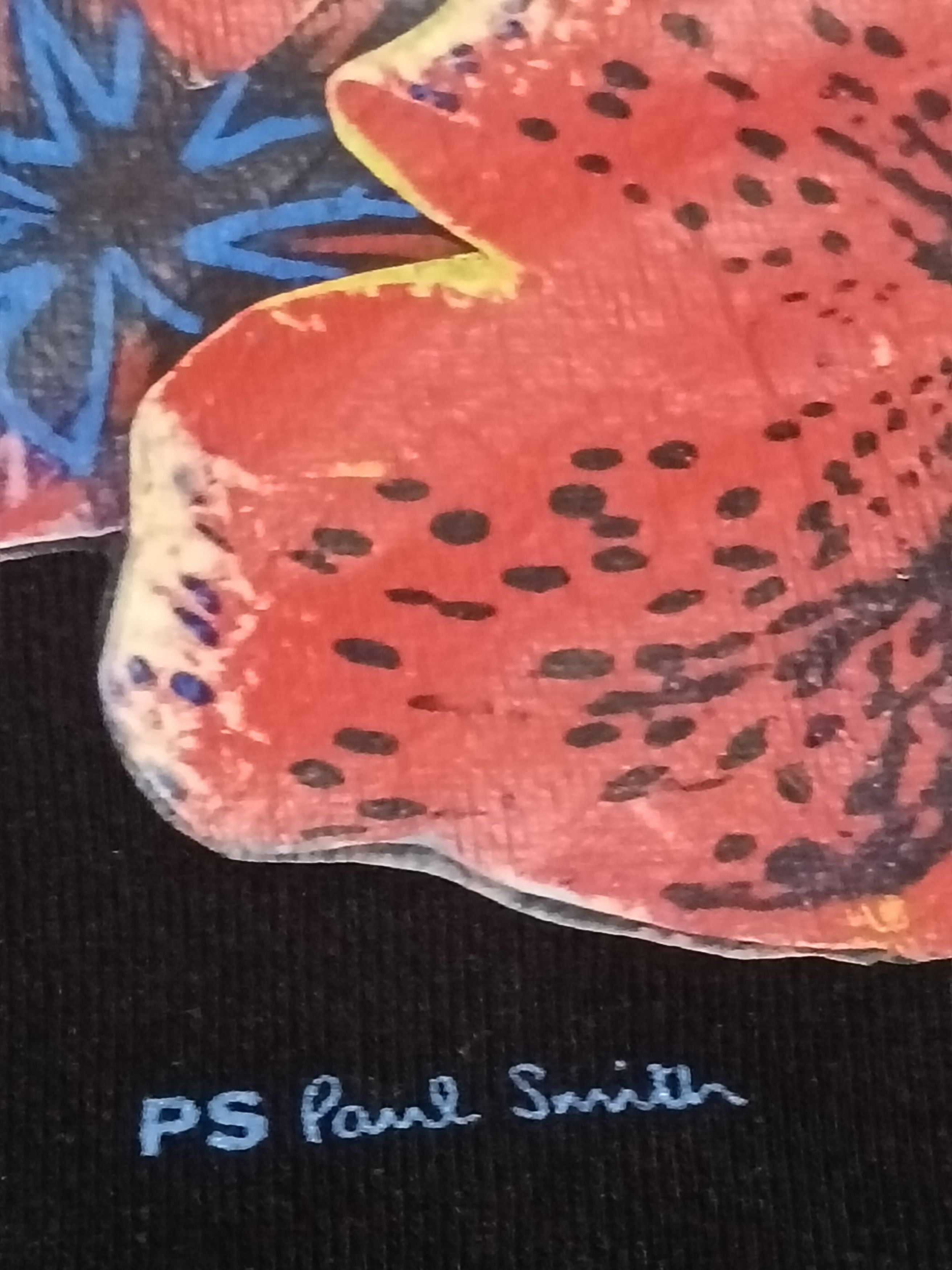 Paul Smith PAUL SMITH FLORAL PRINT HOODIE Size US M / EU 48-50 / 2 - 2 Thumbnail
