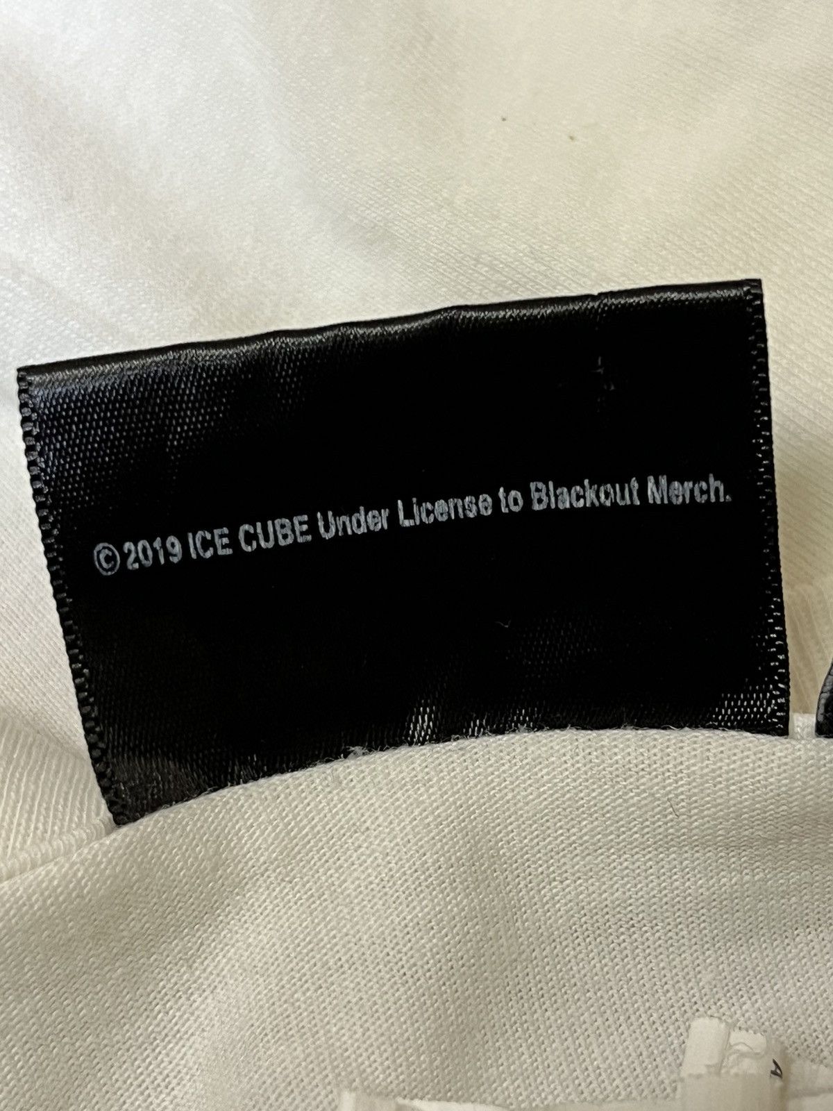 Band Tees HIP HOP🔥ICE CUBE DEATH CERTIFICATE 2019 RAP TEE SHIRT Size US L / EU 52-54 / 3 - 10 Thumbnail