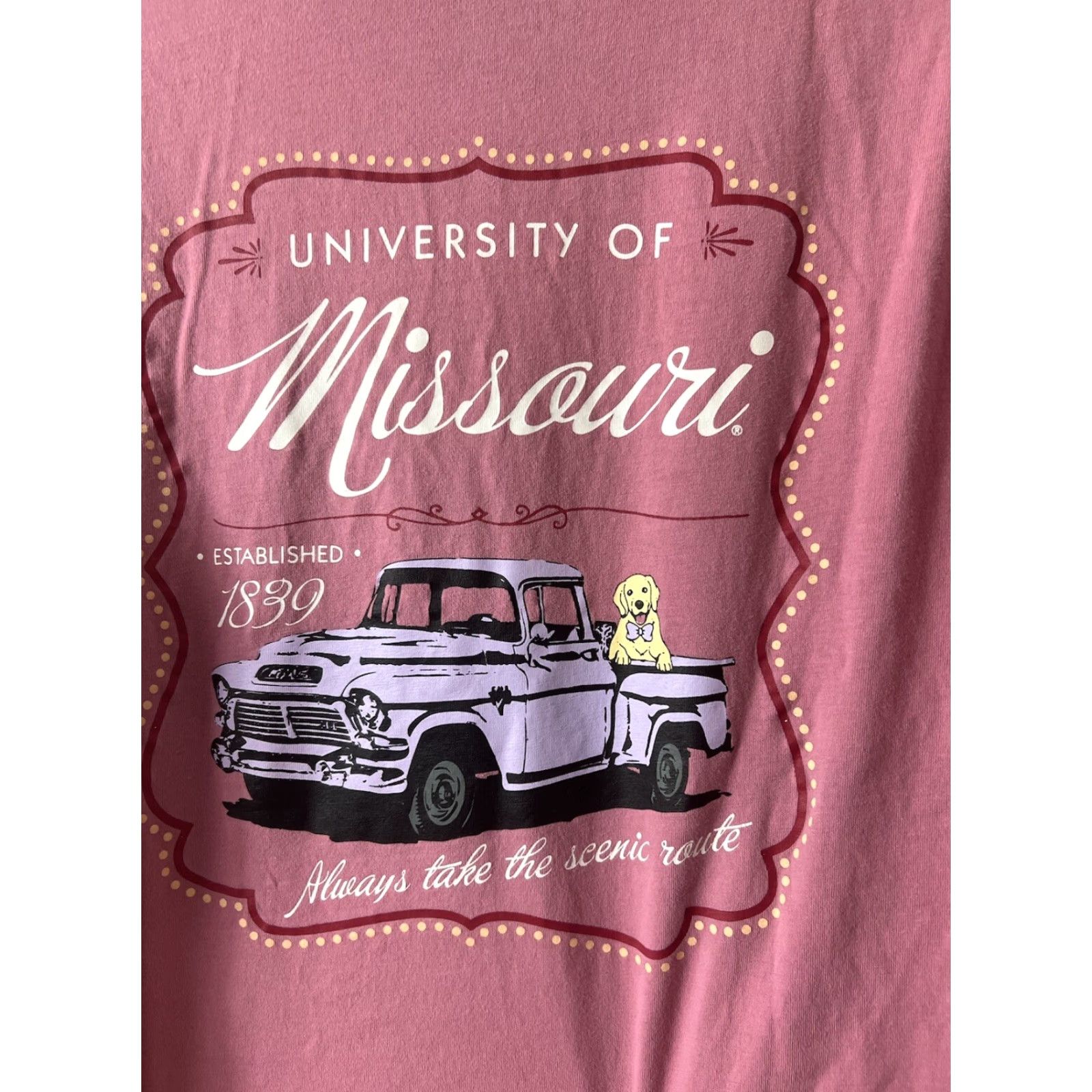 Champion VINTAGE Champion University Of Missouri Tigers Longsleeve T Shirt Women M Pink Crew Neck Shirt Size M / US 6-8 / IT 42-44 - 2 Thumbnail