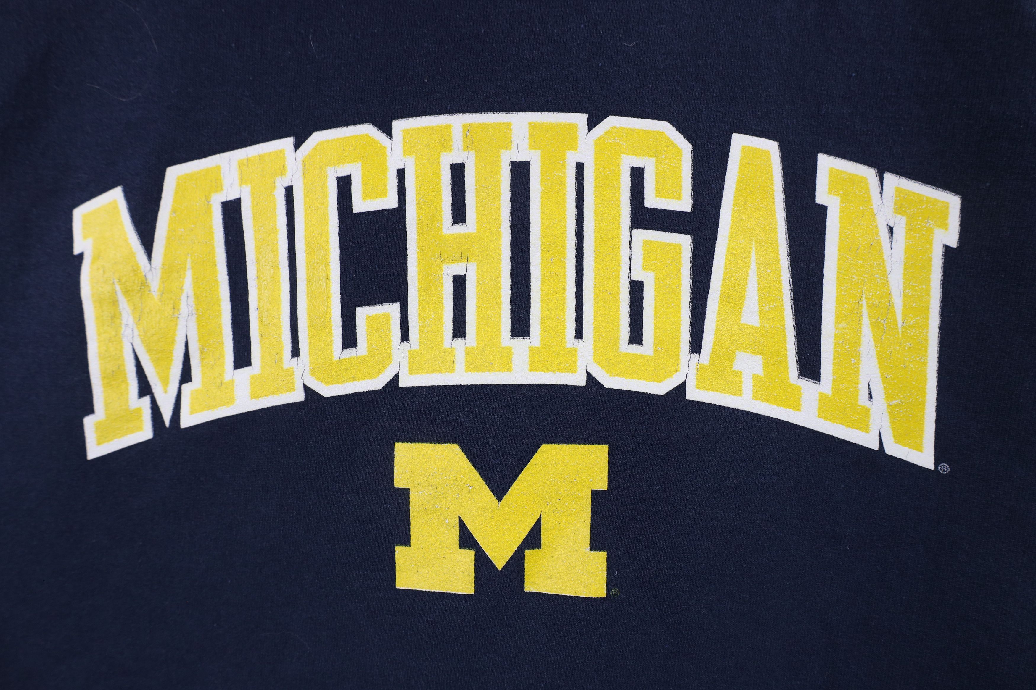 Champion × Vintage Vintage Champion Out University of Michigan Hoodie Blue Size US M / EU 48-50 / 2 - 5 Thumbnail