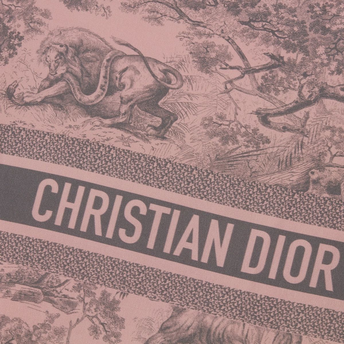 Dior o1bcso1str0125 Pillow in Grey & Pink Size ONE SIZE - 3 Thumbnail