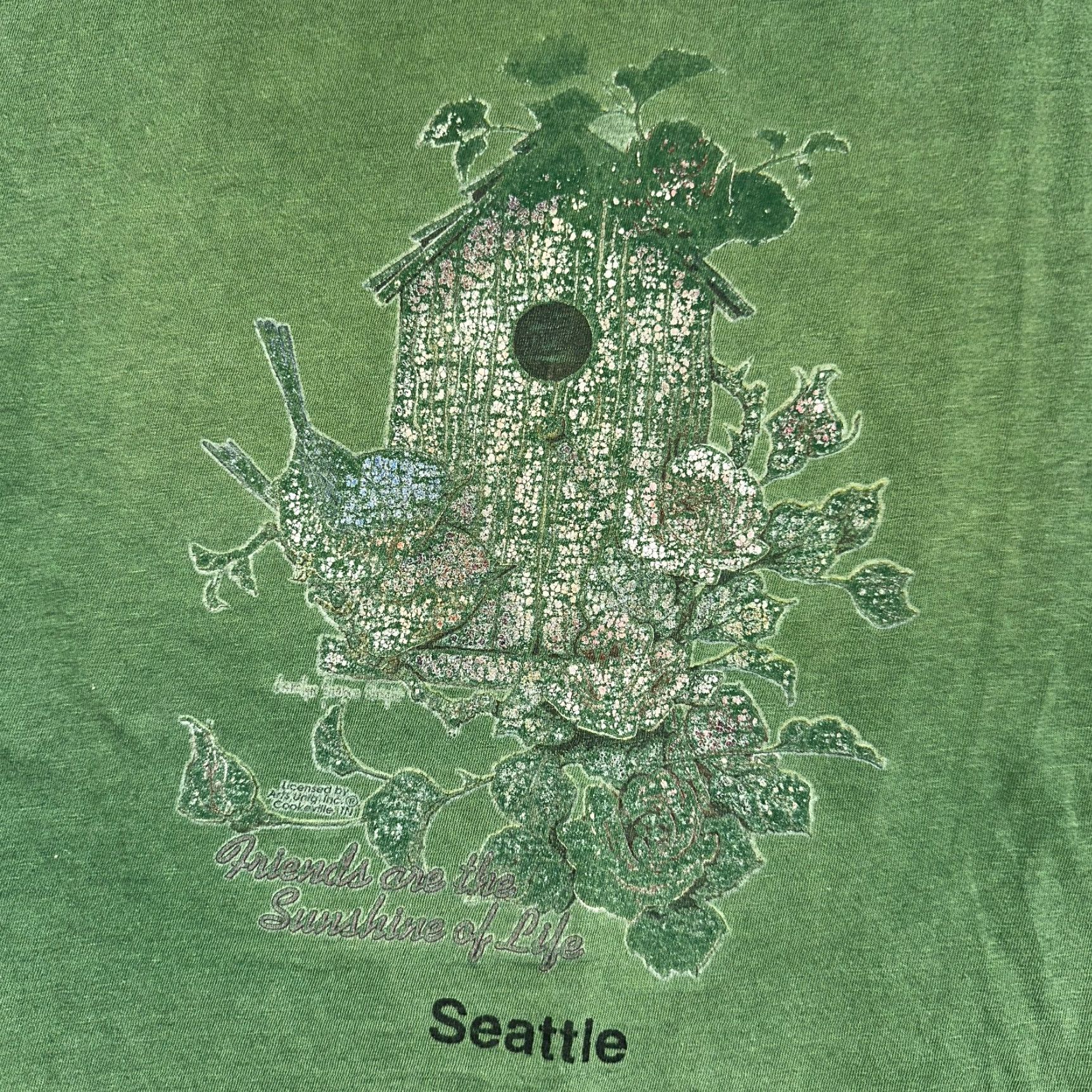 Thrasher VINTAGE T Shirt Seattle Birdhouse Chopped Sleeves Distressed Graphic Green M Mens Size US M / EU 48-50 / 2 - 2 Thumbnail
