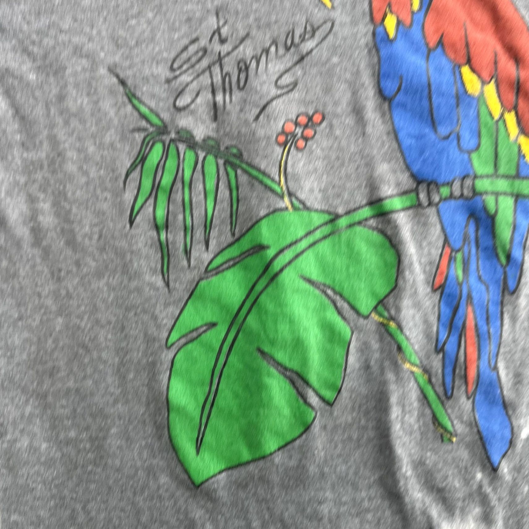 Vintage VINTAGE St Thomas Parrot Graphic T-Shirt Men XL Gray 90s Tropical Bird Souvenir Size US XL / EU 56 / 4 - 6 Thumbnail
