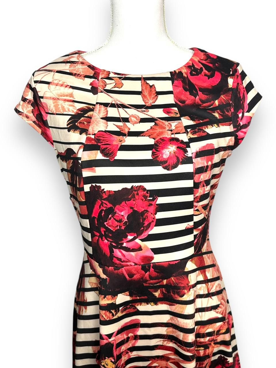Designer Beige by eci Floral Striped Cap Sleeve Skater Dress M Size M / US 6-8 / IT 42-44 - 2 Thumbnail