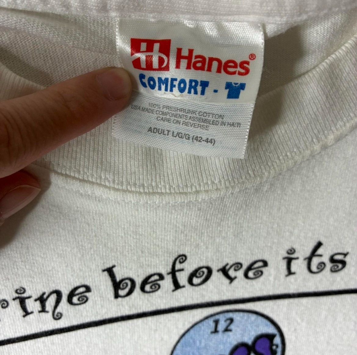 Hanes Vintage 1996 Hanes Comfort T-Shirt Large – Classic 90s Fit Size US L / EU 52-54 / 3 - 4 Thumbnail