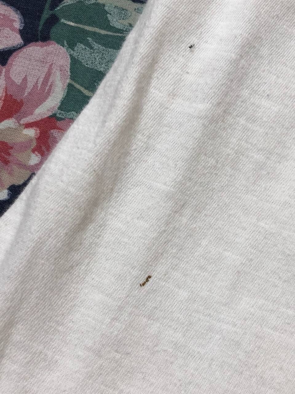Polo Ralph Lauren Polo Ralph Lauren T-Shirt Size US M / EU 48-50 / 2 - 11 Thumbnail