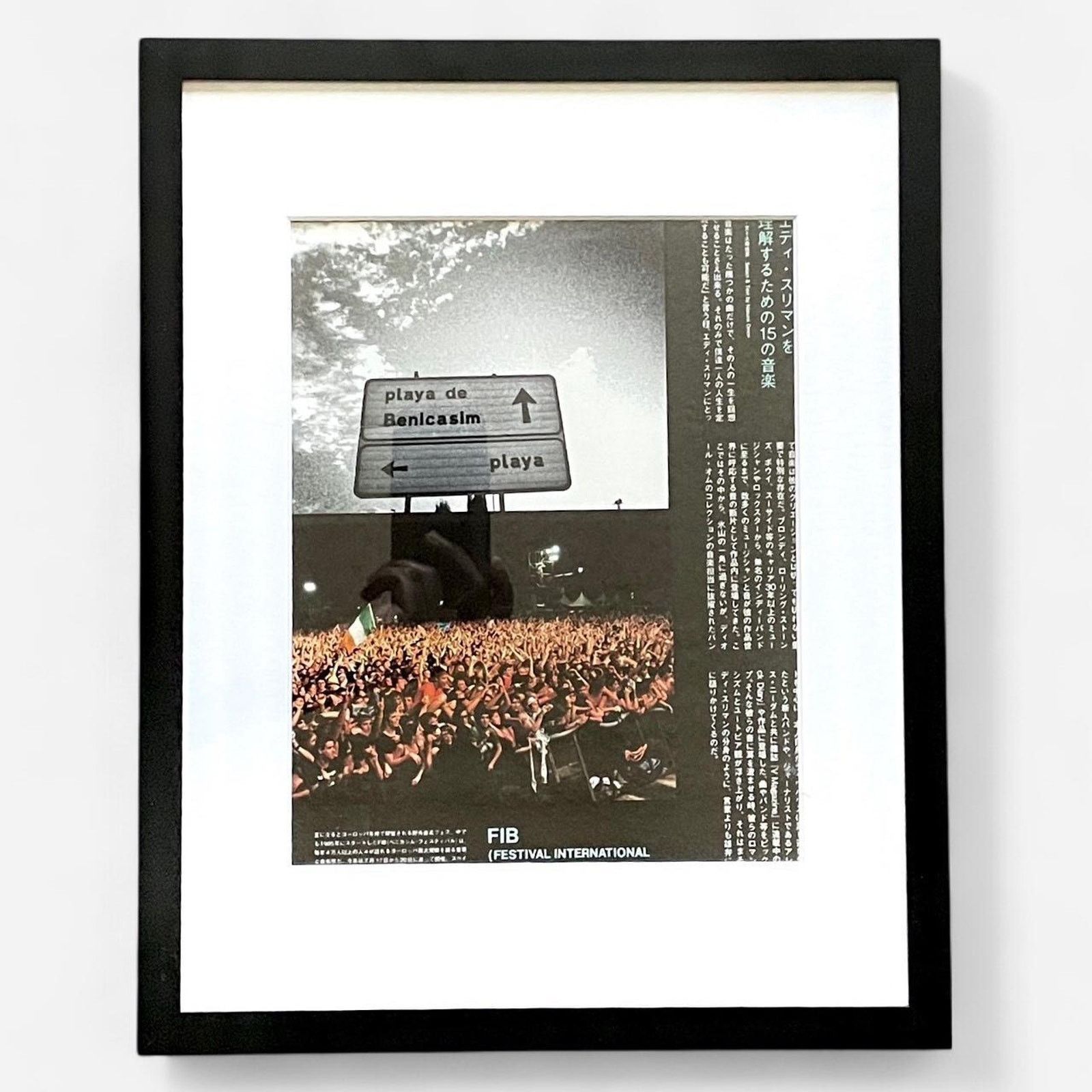 Hedi Slimane × Vintage Hedi Slimane young American Anti-Utopia framed poster 9x12 Size ONE SIZE - 1 Thumbnail
