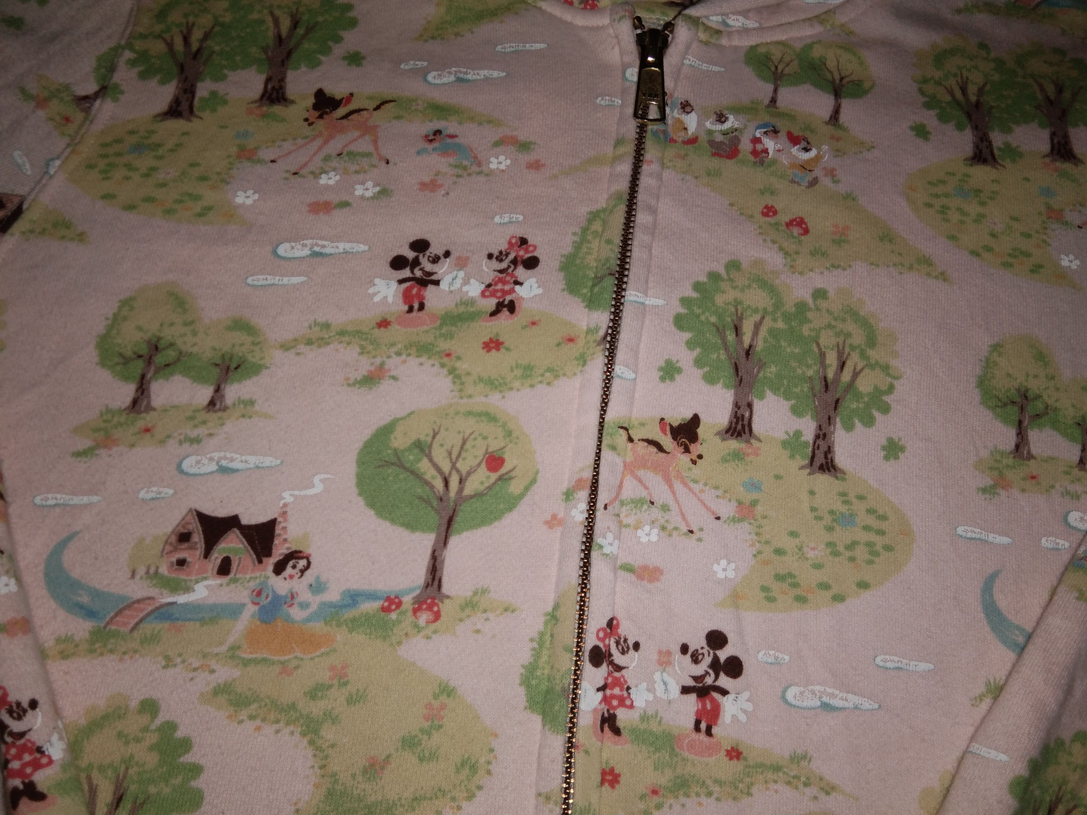 Disney Tokyo Disneyland Disney Mickey Cartoon hoodie Size L / US 10 / IT 46 - 2 Thumbnail