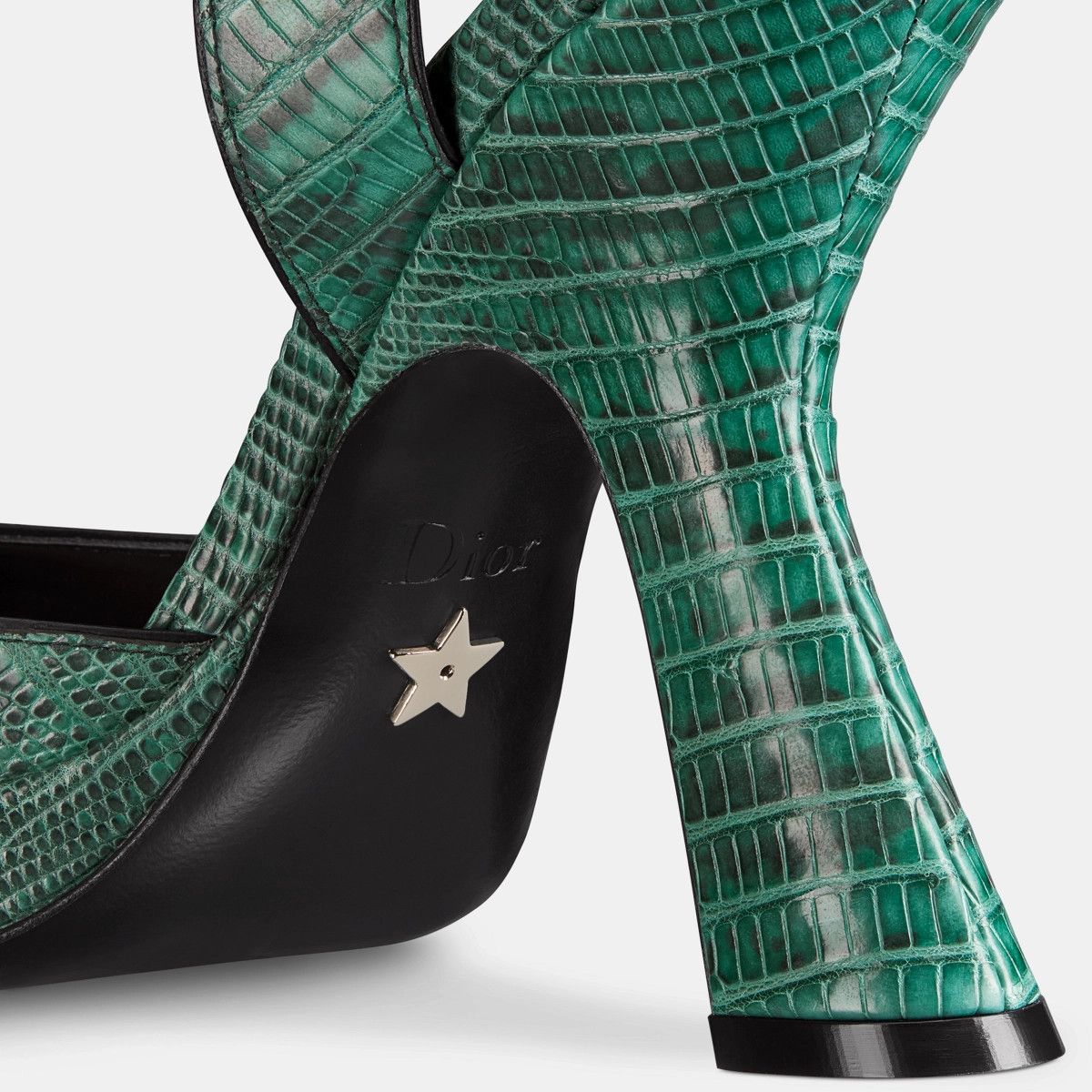 Dior o1bcso1str1224 Pump in Tejus Print Size US 9 / IT 39 - 5 Thumbnail