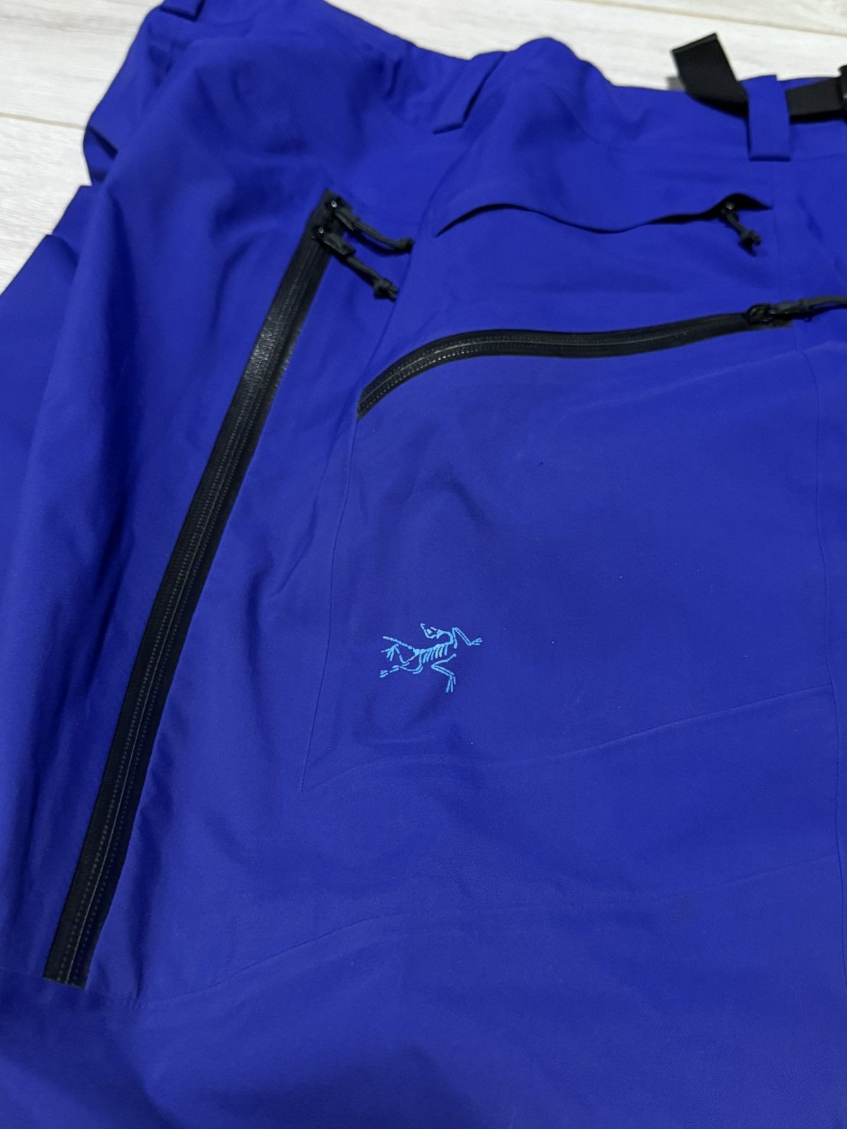 Arc'teryx Arcteryx Gore tex Recco ski pants multi pocket waterproof Size US 30 / EU 46 - 3 Thumbnail