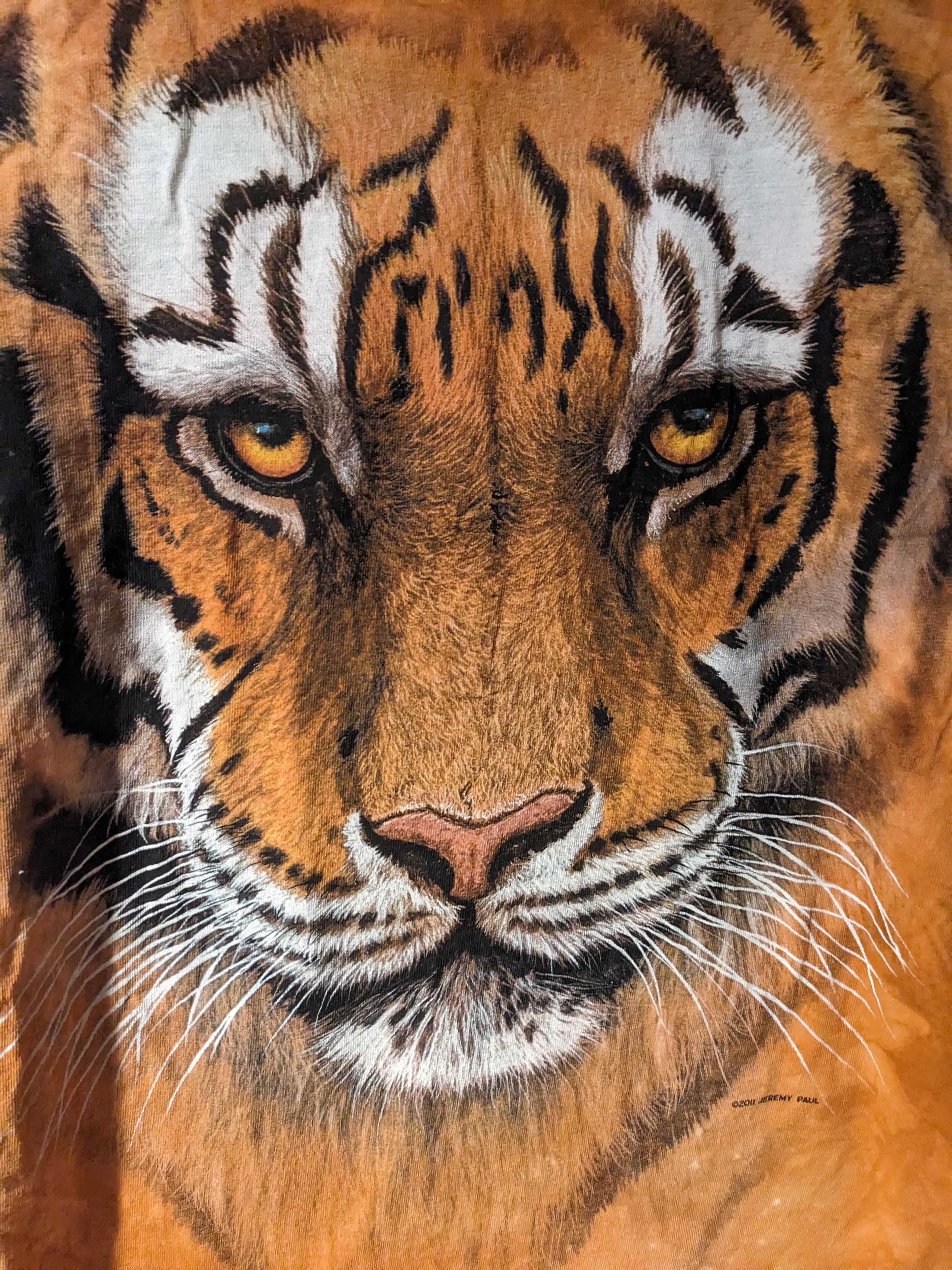 The Mountain × Vintage Vintage 2011 The Mountain Tiger Animal Nature Large T-Shirt Size US L / EU 52-54 / 3 - 2 Thumbnail