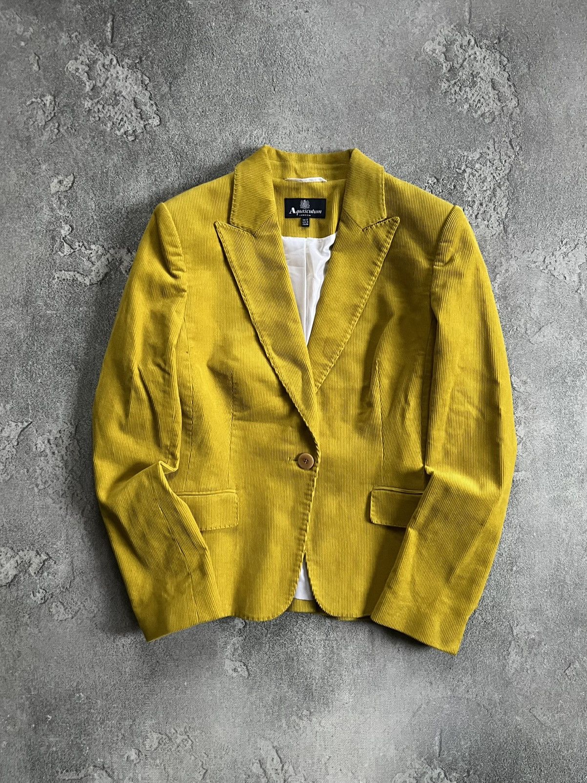 Aquascutum Aquascutum Blazer Size 44 One-Button Cropped Velvet Jacket Size M / US 6-8 / IT 42-44 - 1 Thumbnail