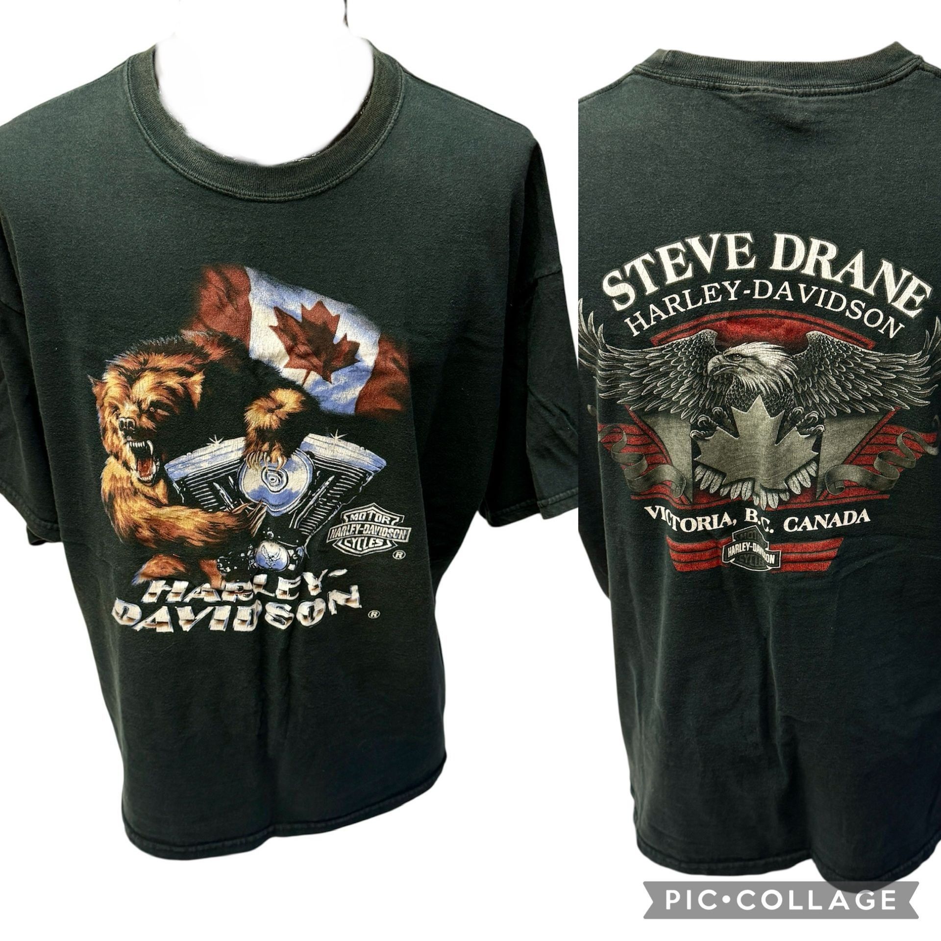Harley Davidson Motorcycle BEAR Steve Drane Victoria CANADA Licensed T Shirt Size US XXL / EU 58 / 5 - 1 Thumbnail