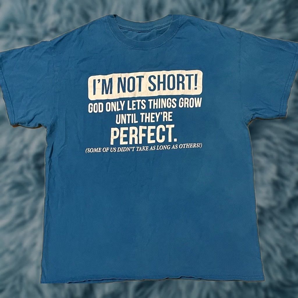 Vintage VINTAGE I’m Not Short Im Perfect Faded Shirt S Funny Saying Joke Humor Grunge Y2K 90s Shirt Mens Small Blue Sarcasm Size US S / EU 44-46 / 1 - 1 Thumbnail