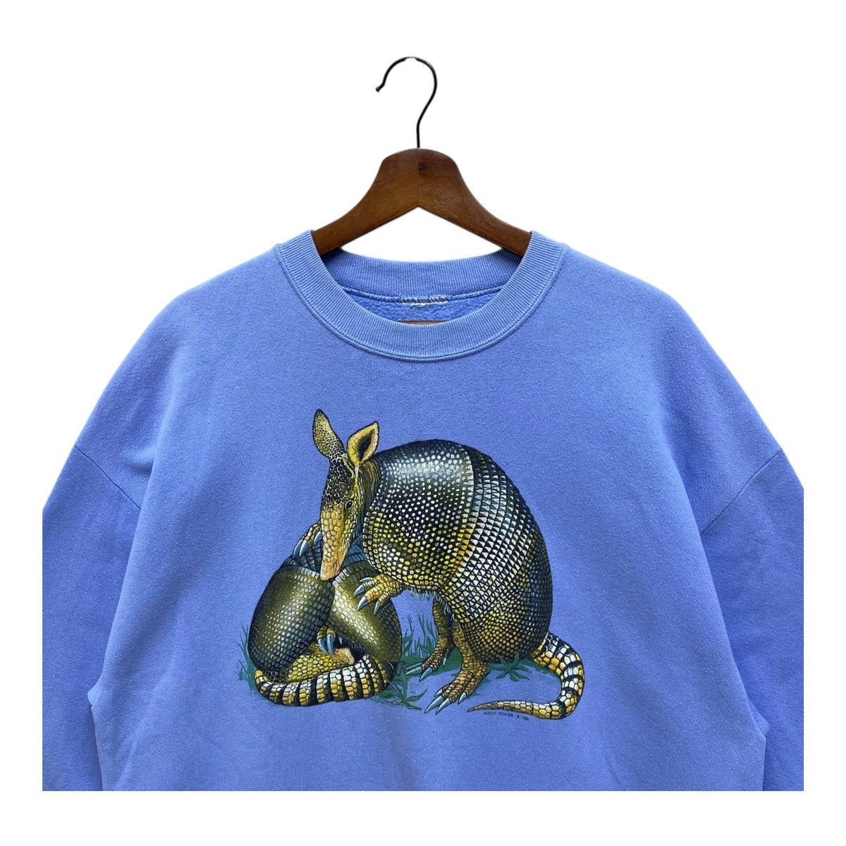 Other Vintage 1996 Armadillo Graphic Sweatshirt, Molly Eckler Art Size US L / EU 52-54 / 3 - 2 Thumbnail
