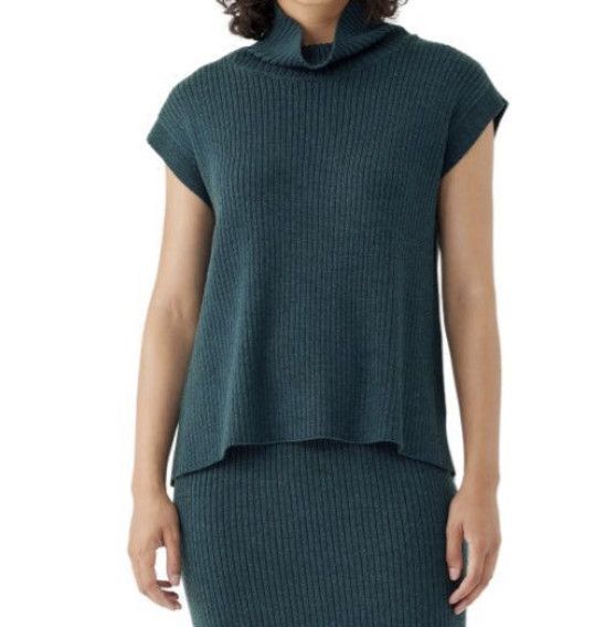 Eileen Fisher Eileen Fisher Merino Turtleneck Wool Sweater Alpine ( 3X ) Size ONE SIZE - 1 Thumbnail