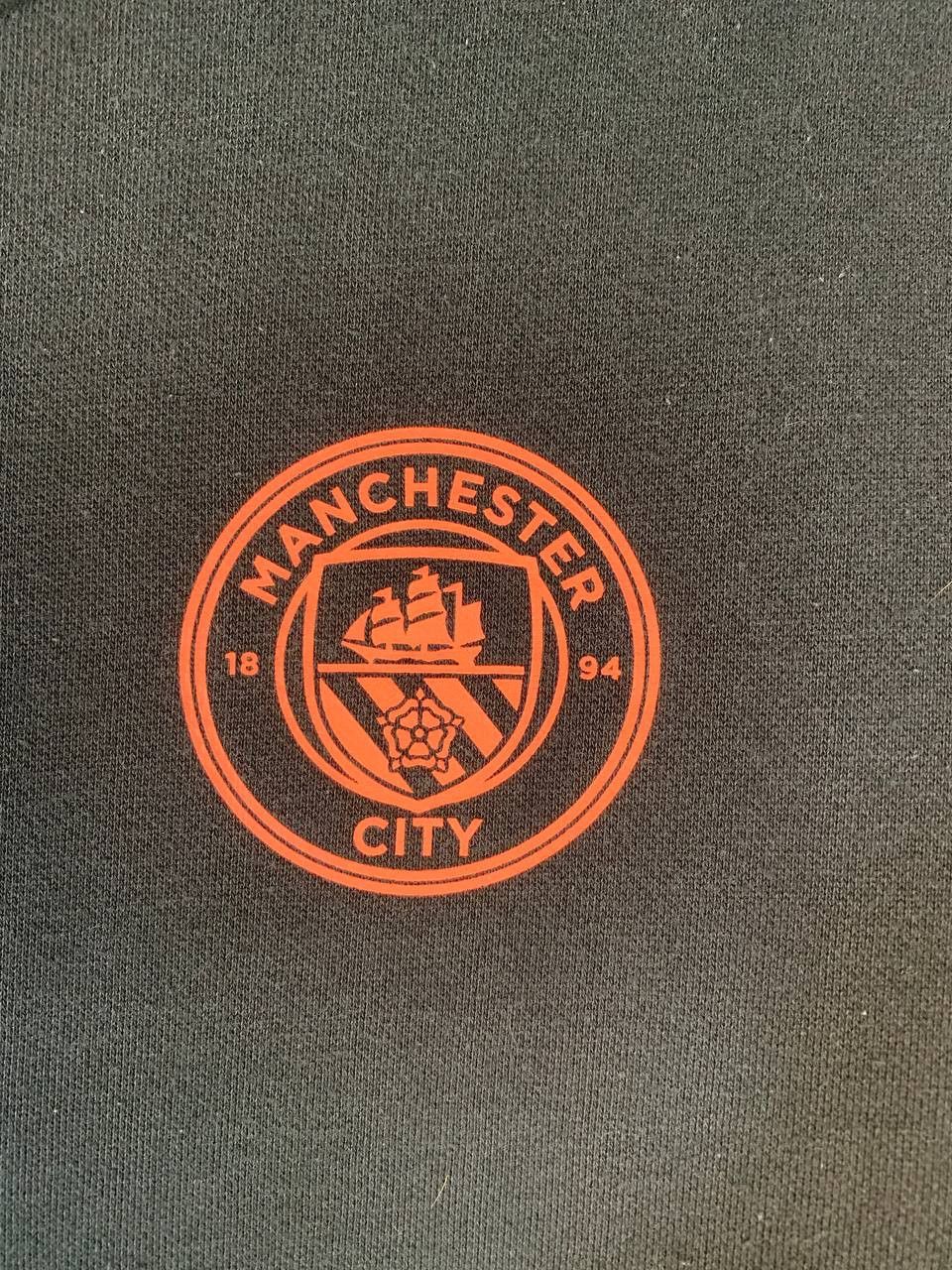 Puma Manchester City | Puma | Sweatshirt | L Size US L / EU 52-54 / 3 - 3 Thumbnail