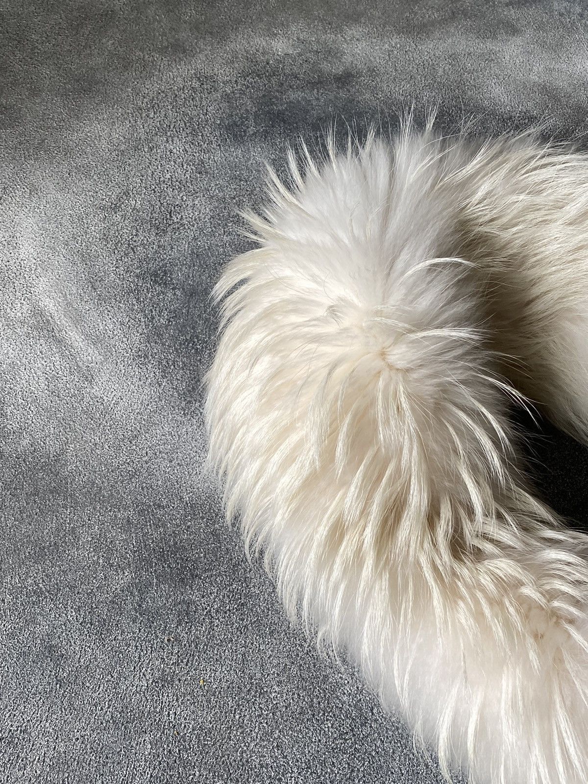 Alexander McQueen 2014 Alexander McQueen Real Fur Finnraccoon Scarf /Collar Size ONE SIZE - 8 Thumbnail