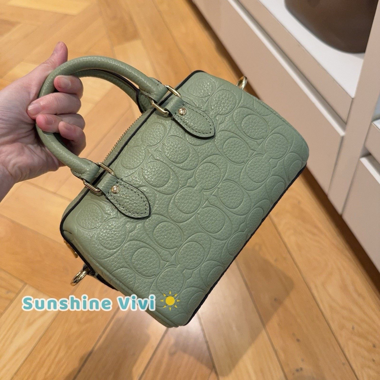 Coach NWT Coach Mini Rowan Crossbody Bag CEW07 leather Pistachio Size ONE SIZE - 6 Thumbnail