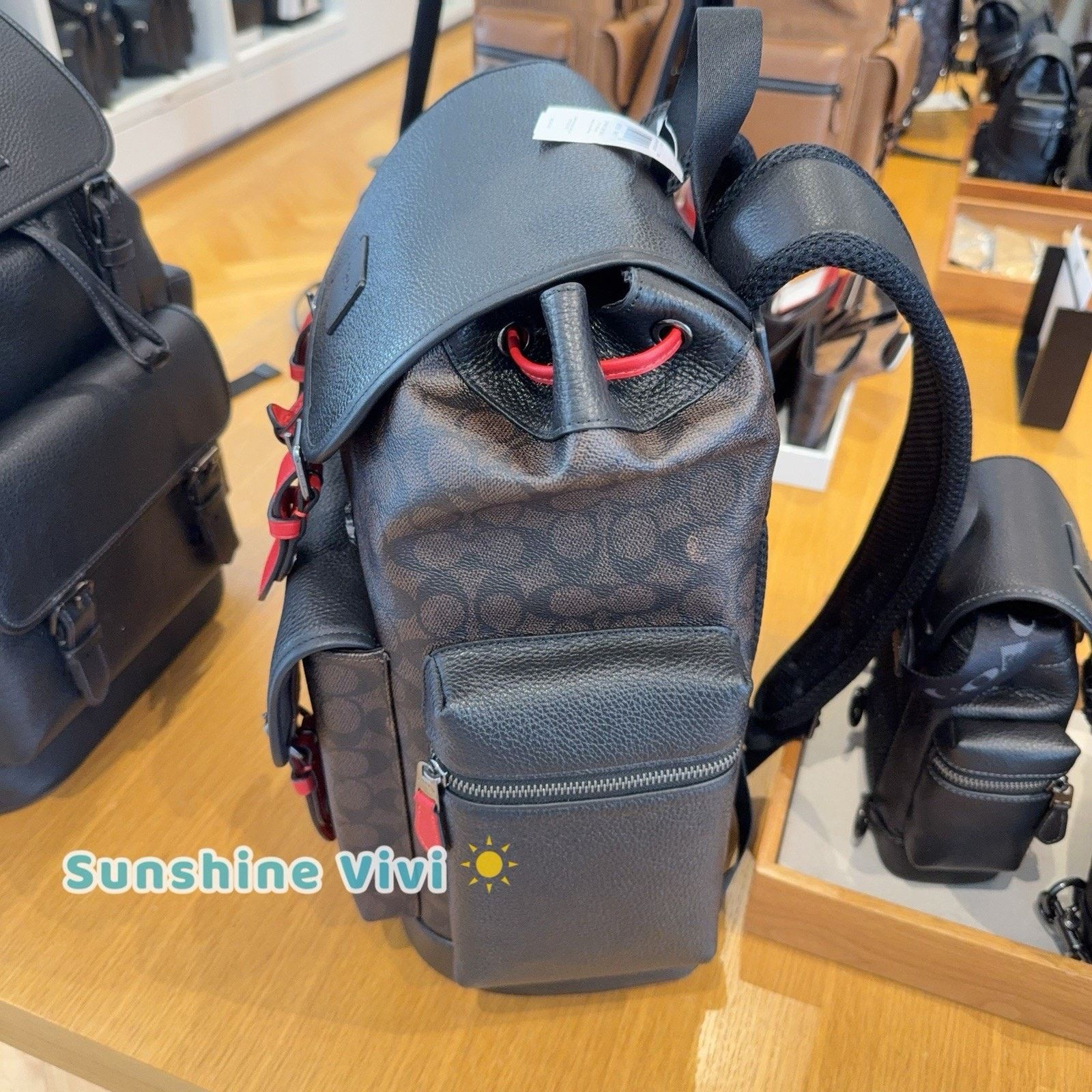 Coach NWT Coach MEN's Sprint Backpack Canvas Gunmetal CCG13 Size ONE SIZE - 6 Thumbnail