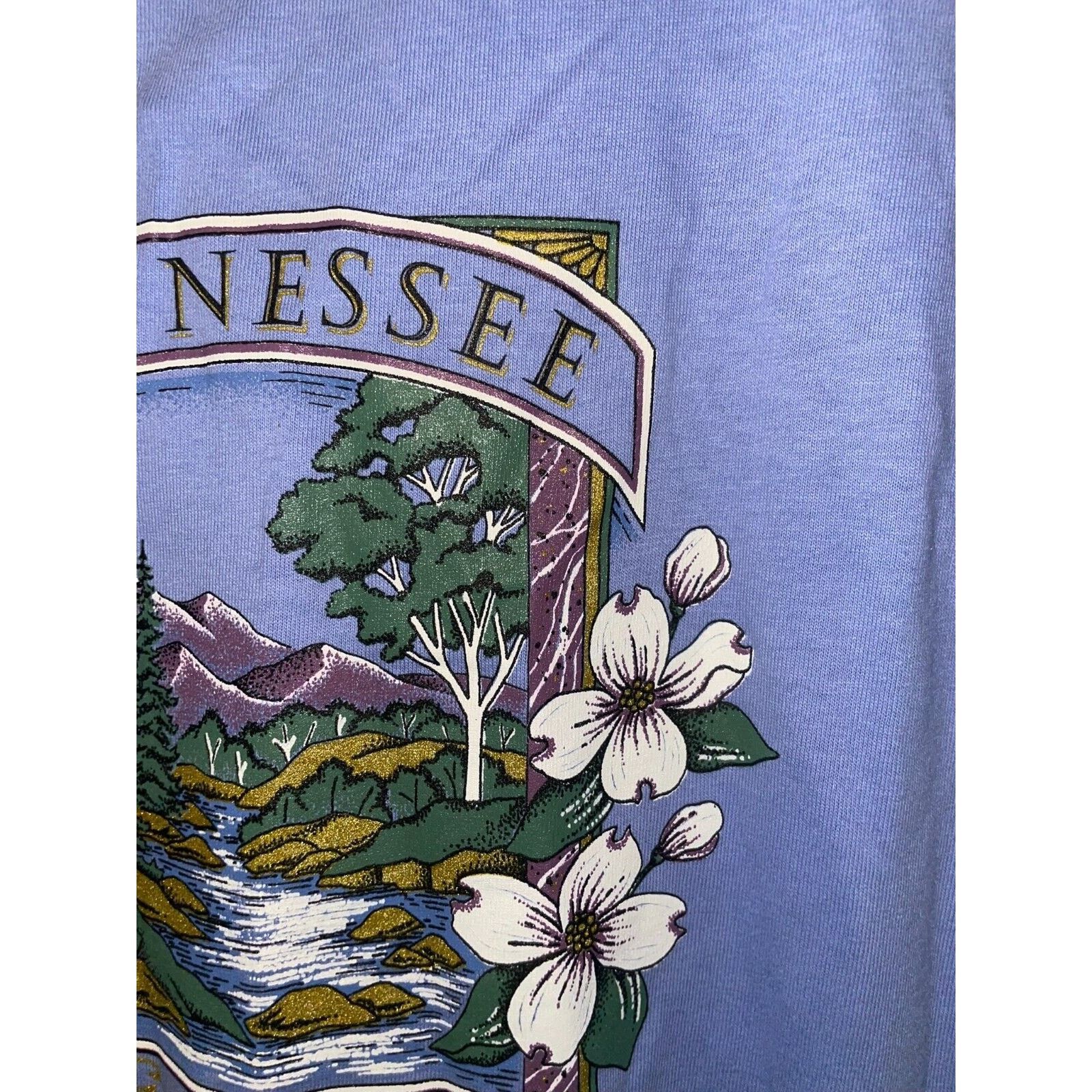 Jerzees Vintage Gatlinburg Shirt TN Tennessee Purple Tee VTG 90s L Size US L / EU 52-54 / 3 - 4 Thumbnail