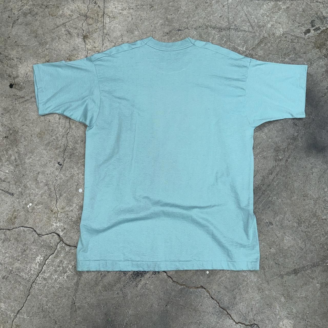 Hanes Hanes Men's Blue and Green Tshirt Size US XL / EU 56 / 4 - 5 Thumbnail