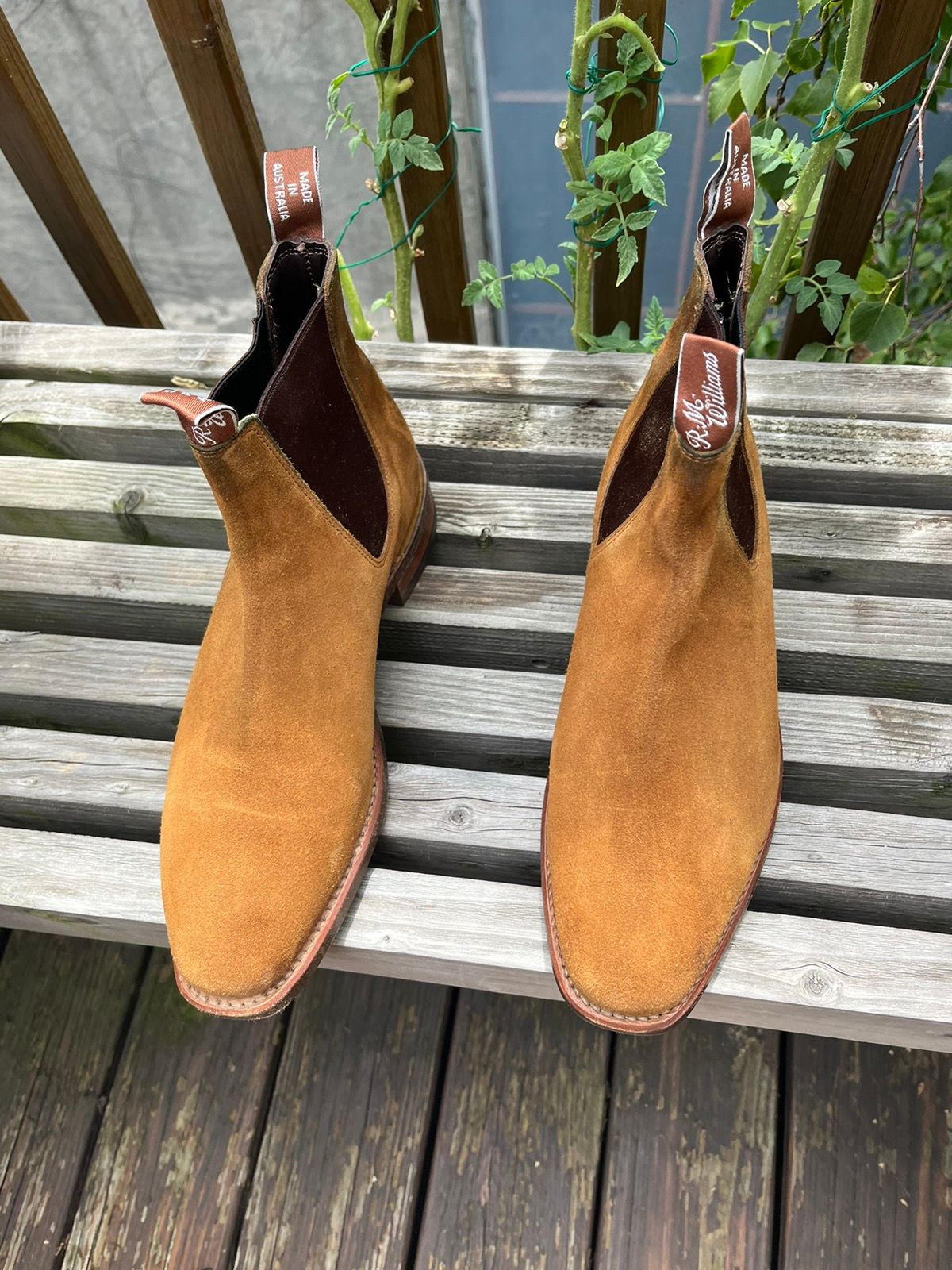 R.M. Williams RM Williams Suede Chelsea Boots