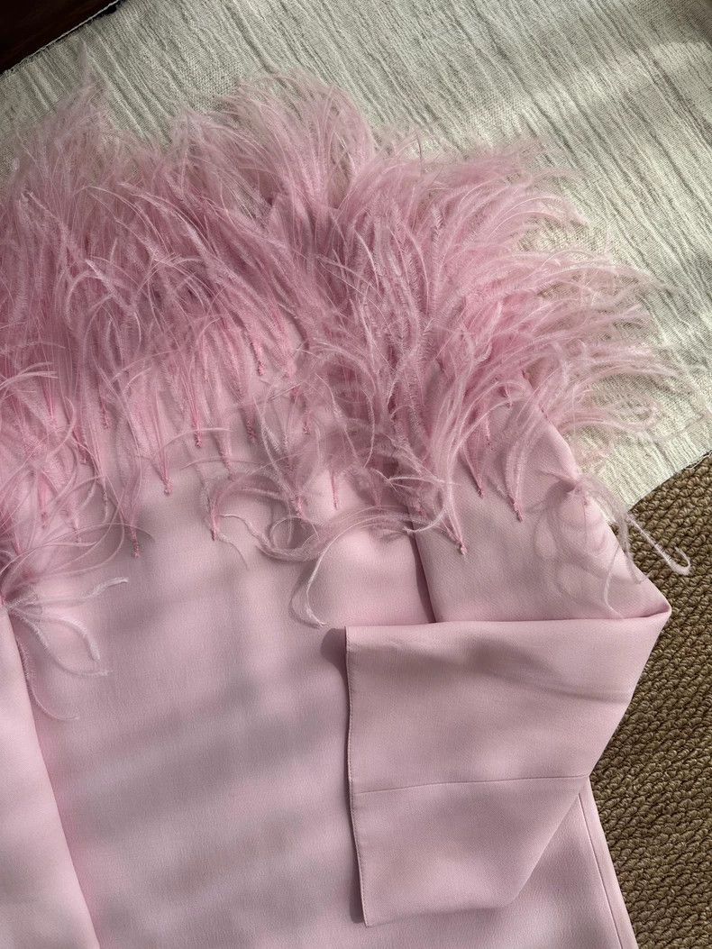 Valentino Valentino Cotton, wool, mixed mulberry silk, pink feathers Size M / US 6-8 / IT 42-44 - 5 Thumbnail