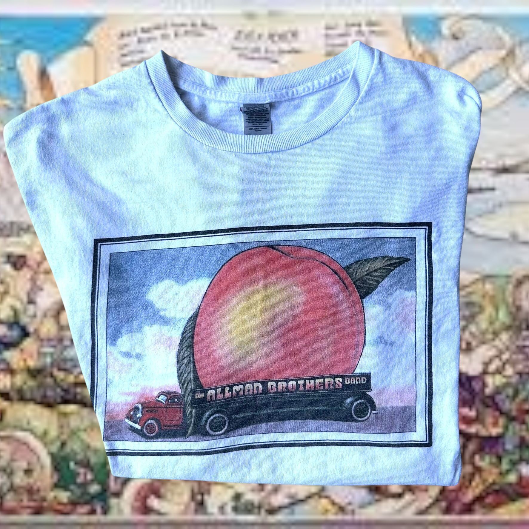 Gildan Vintage 90s Allman Brothers Eat A Peach T Shirt XL Gildan Wh Size US XL / EU 56 / 4 - 5 Thumbnail