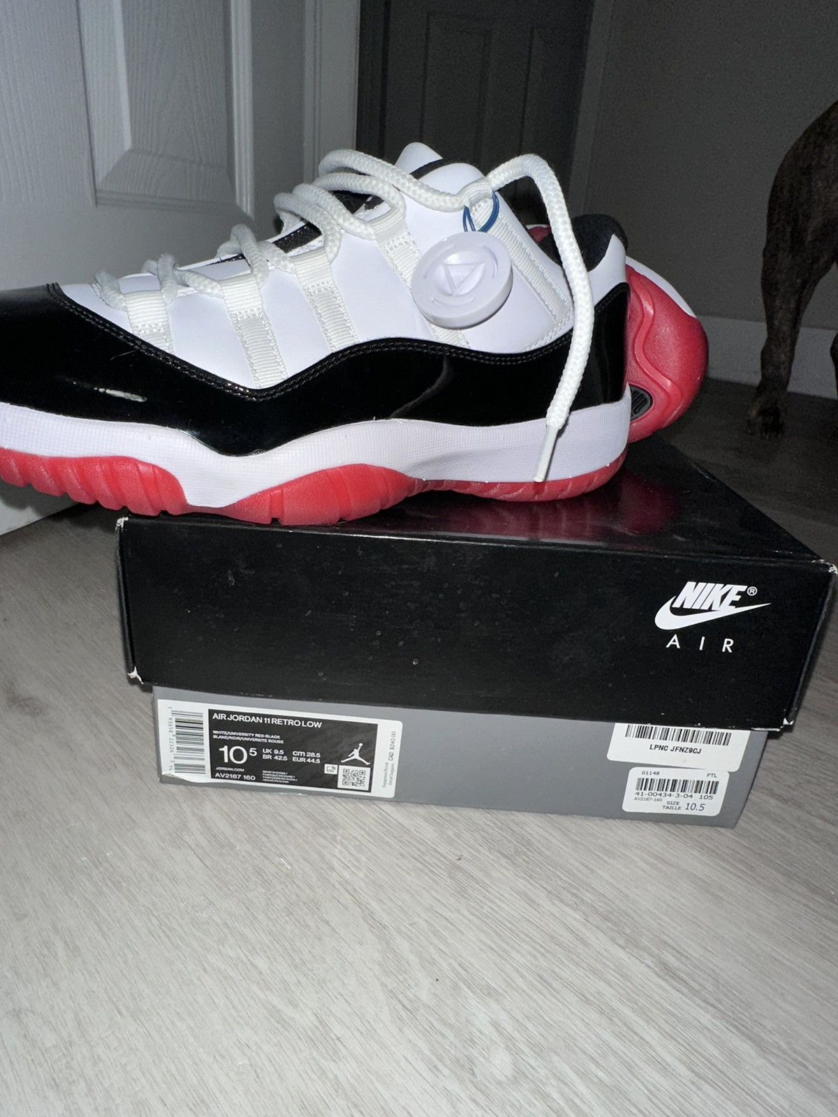 Jordan 11 Retro Low concord Bred toe