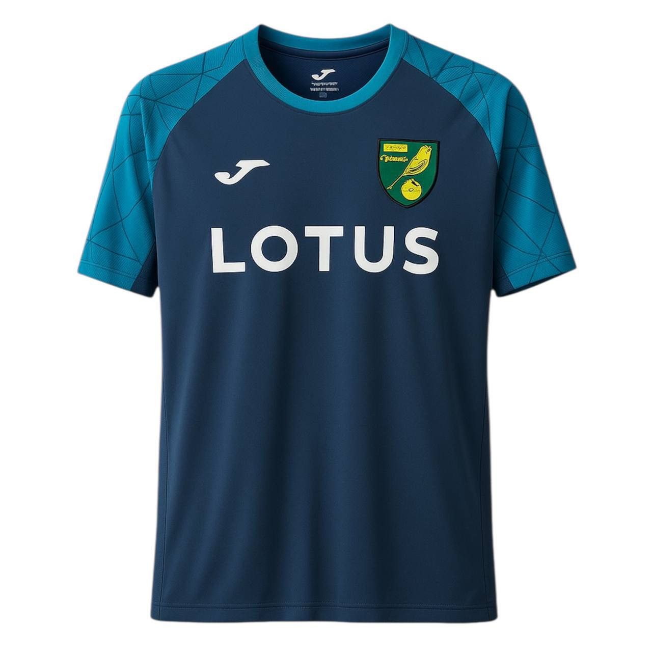 Maillot D'entraînement Norwich City 2021/2022 – Joma – Taille L – Multicolore – Occasion