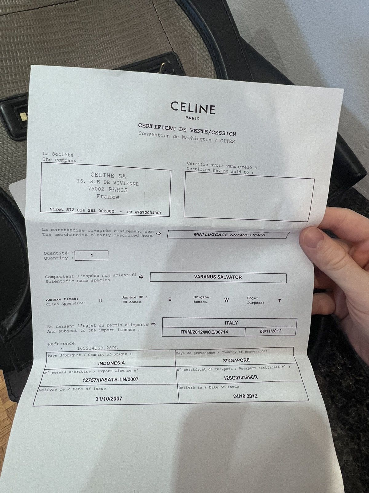 Celine Mini Luggage Leather and Lizard