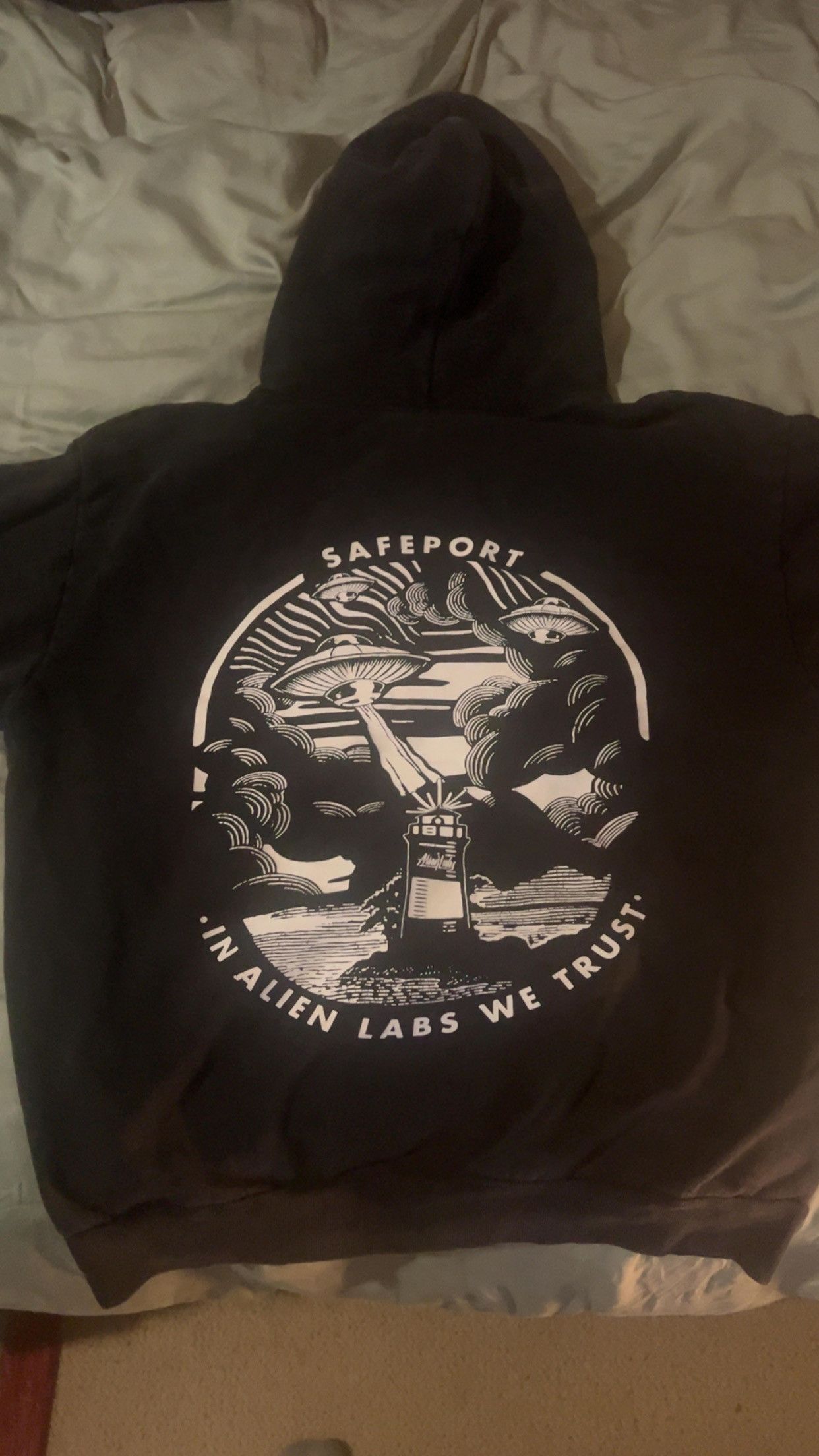 Other Safeport x Alien Labs Hoodie Size US L / EU 52-54 / 3 - 3 Thumbnail