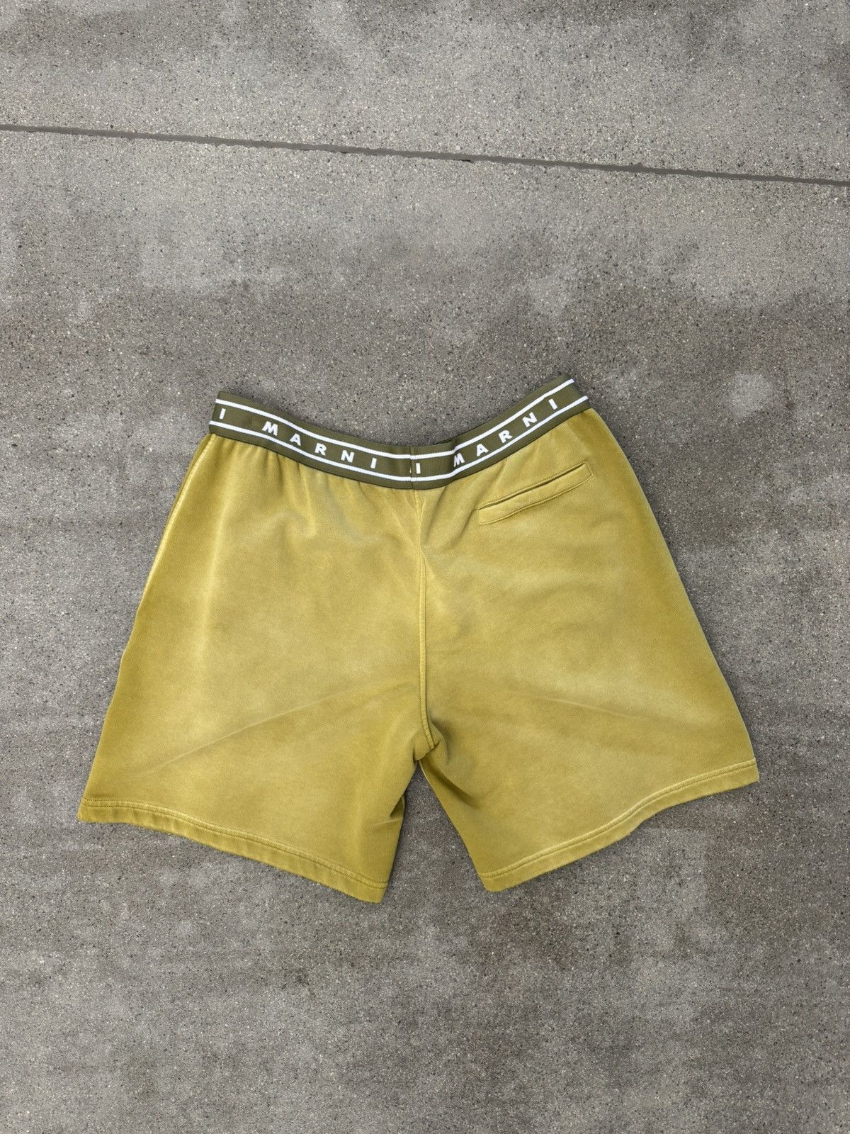 Marni Marni Steppe Sweat Shorts Size US 40 / EU 56 - 2 Thumbnail