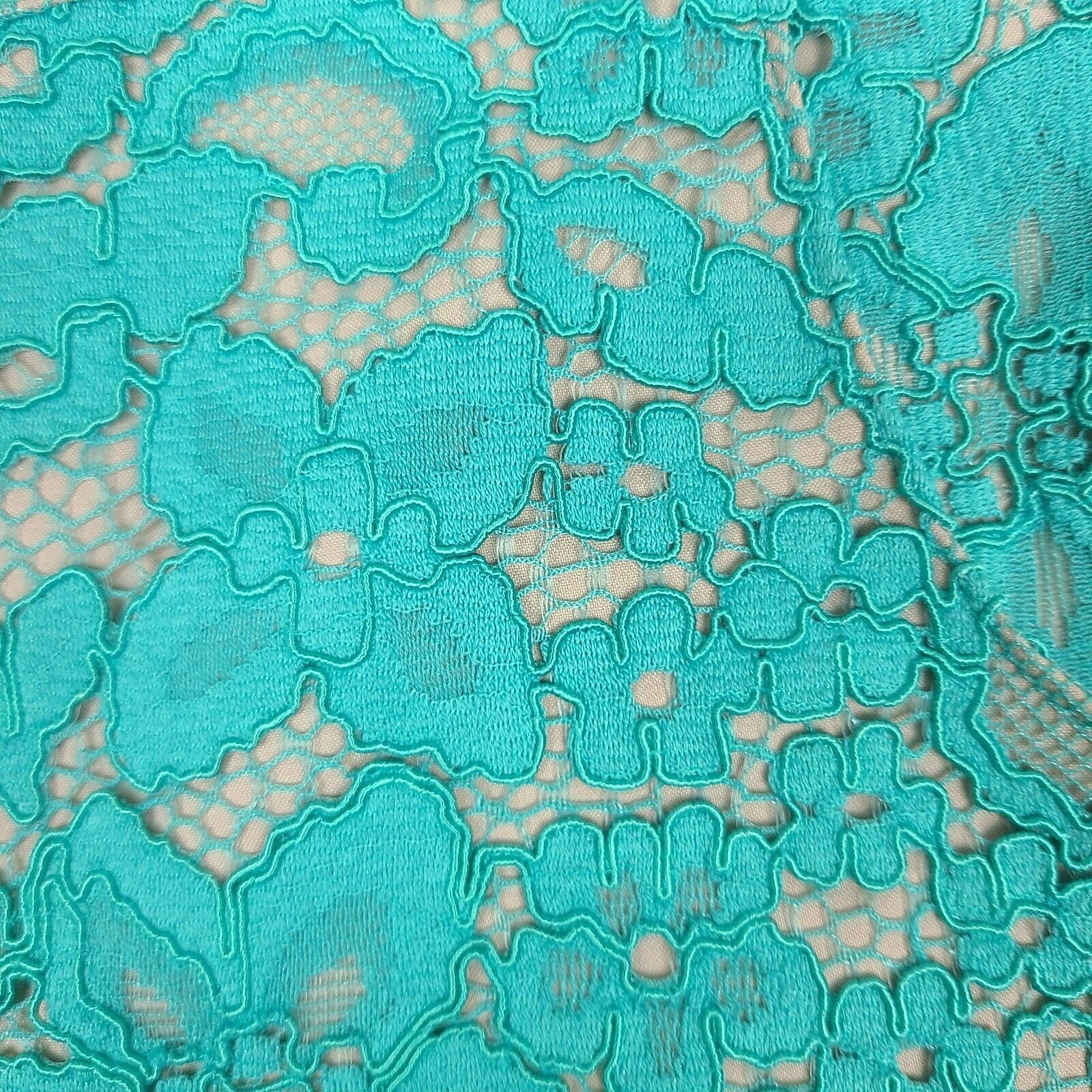 Guess Marciano by Guess High Waisted Teal lace short Size 4 Size 27" / US 4 / IT 40 - 5 Thumbnail