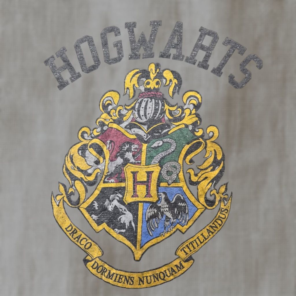 Vintage Harry Potter Shirt Gray Men's M Short Sleeve Crew Neck Graphic Size US M / EU 48-50 / 2 - 1 Thumbnail
